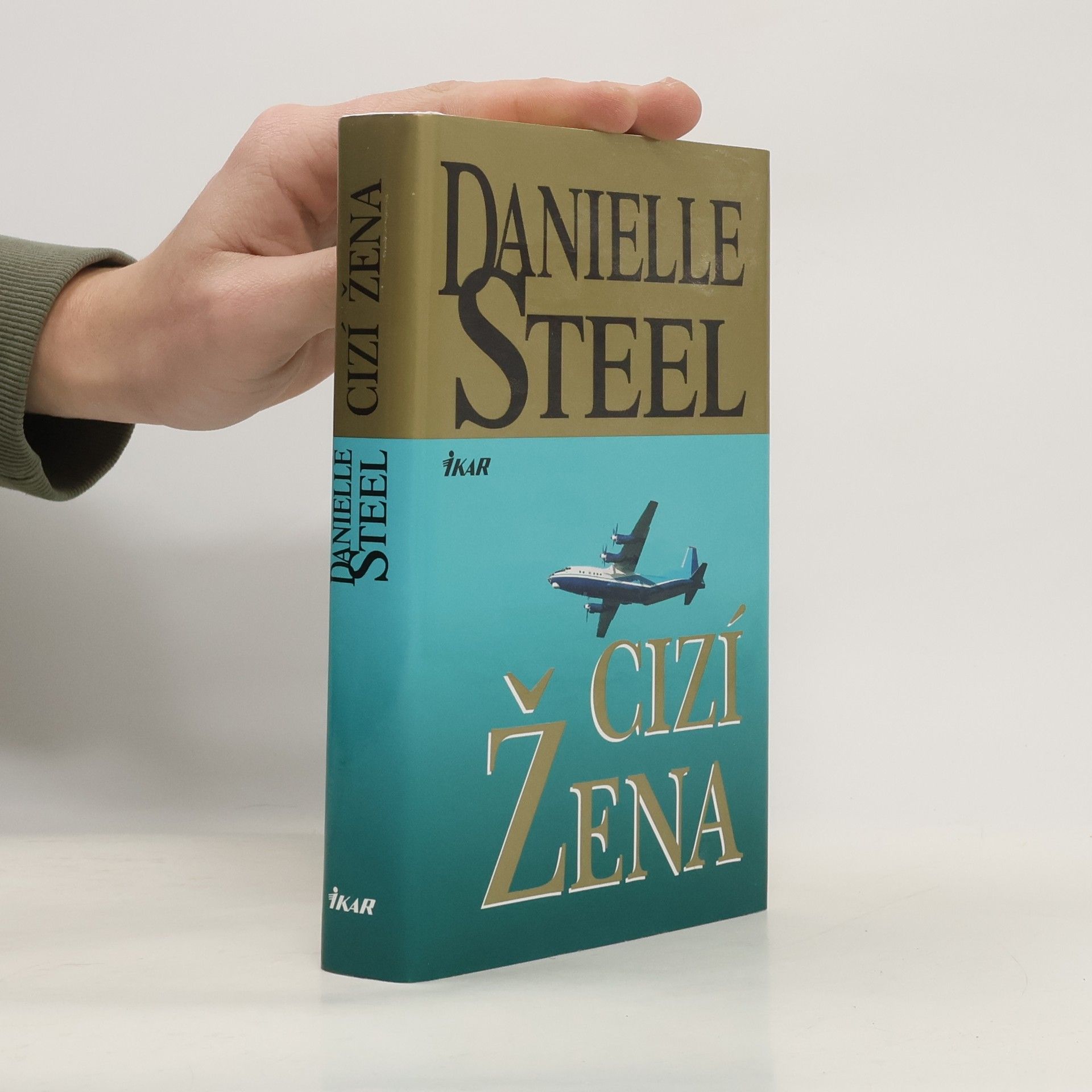 Danielle Steel Cizí žena
