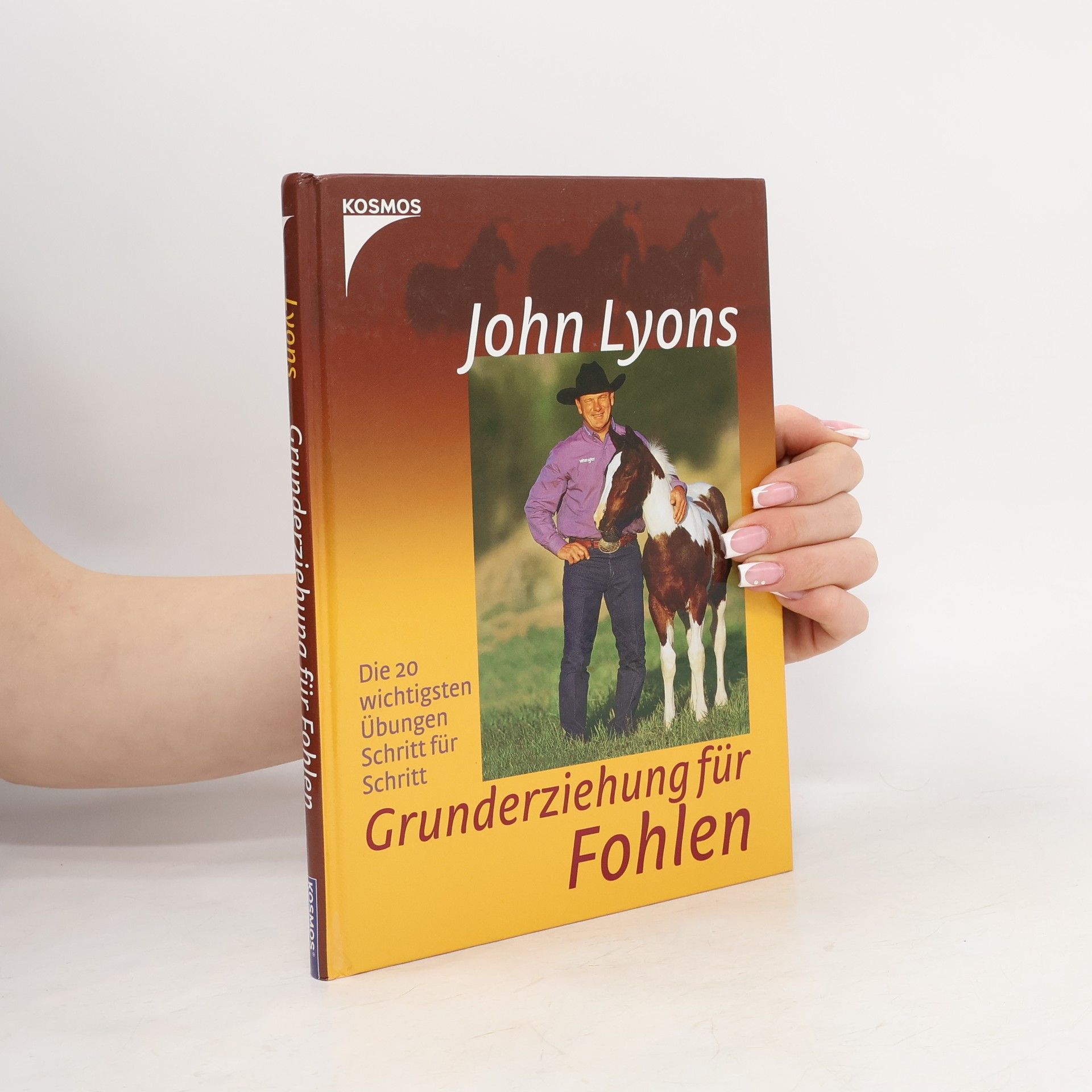 Grunderziehung für Fohlen