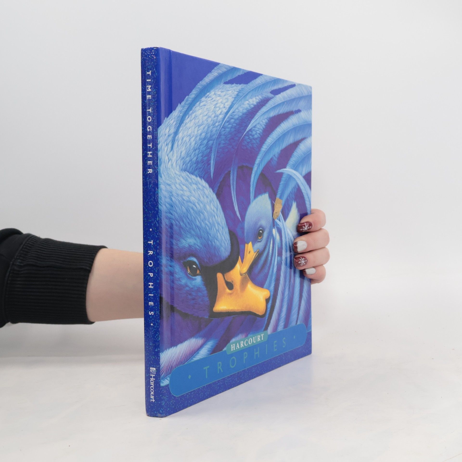 Kolektiv autorů Trophies Grade 1-4 : Time Together