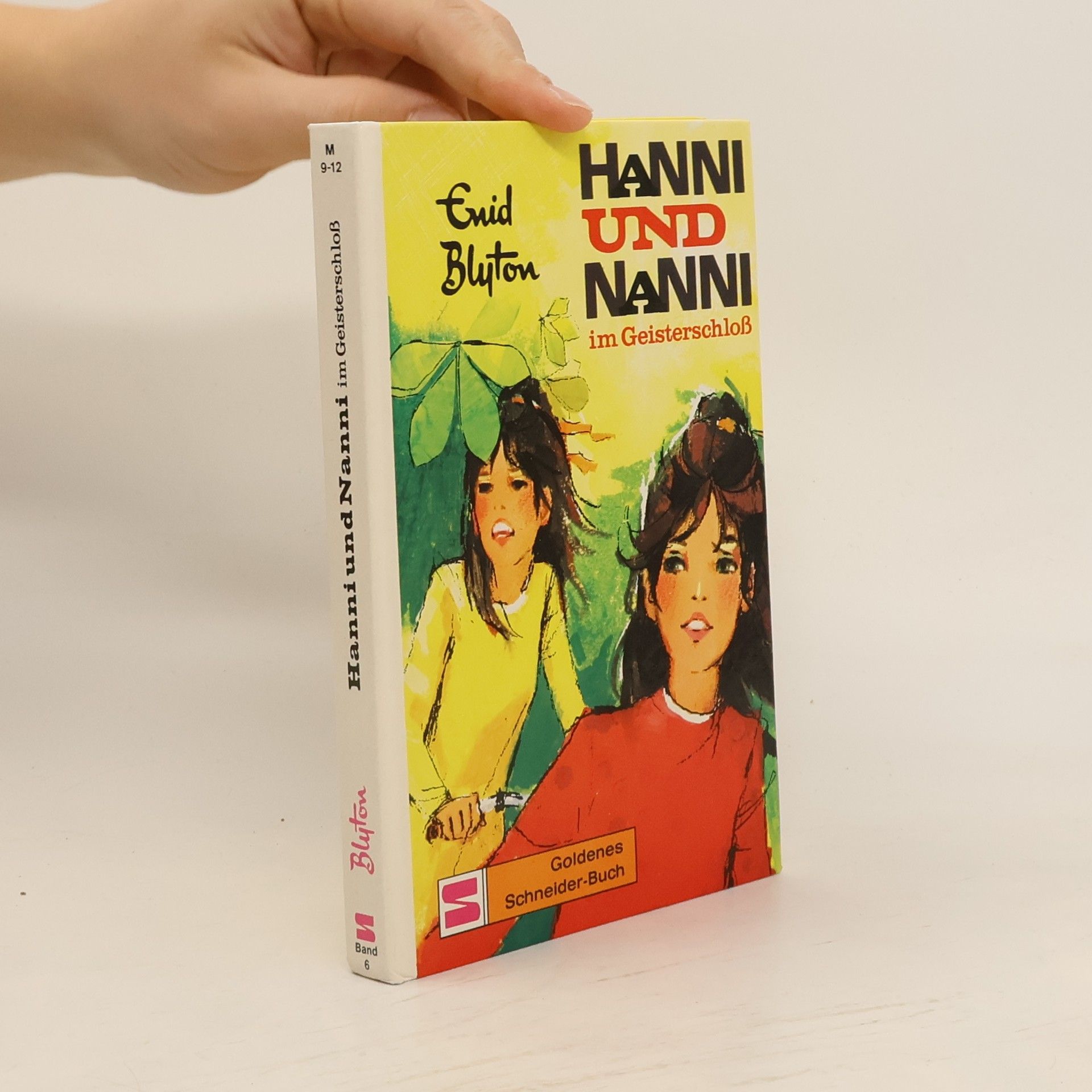 Enid Blyton Hanni und Nanni im Geisterschloß