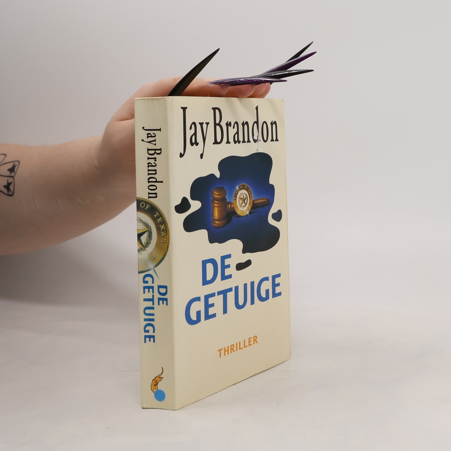 Jay Brandon De getuige