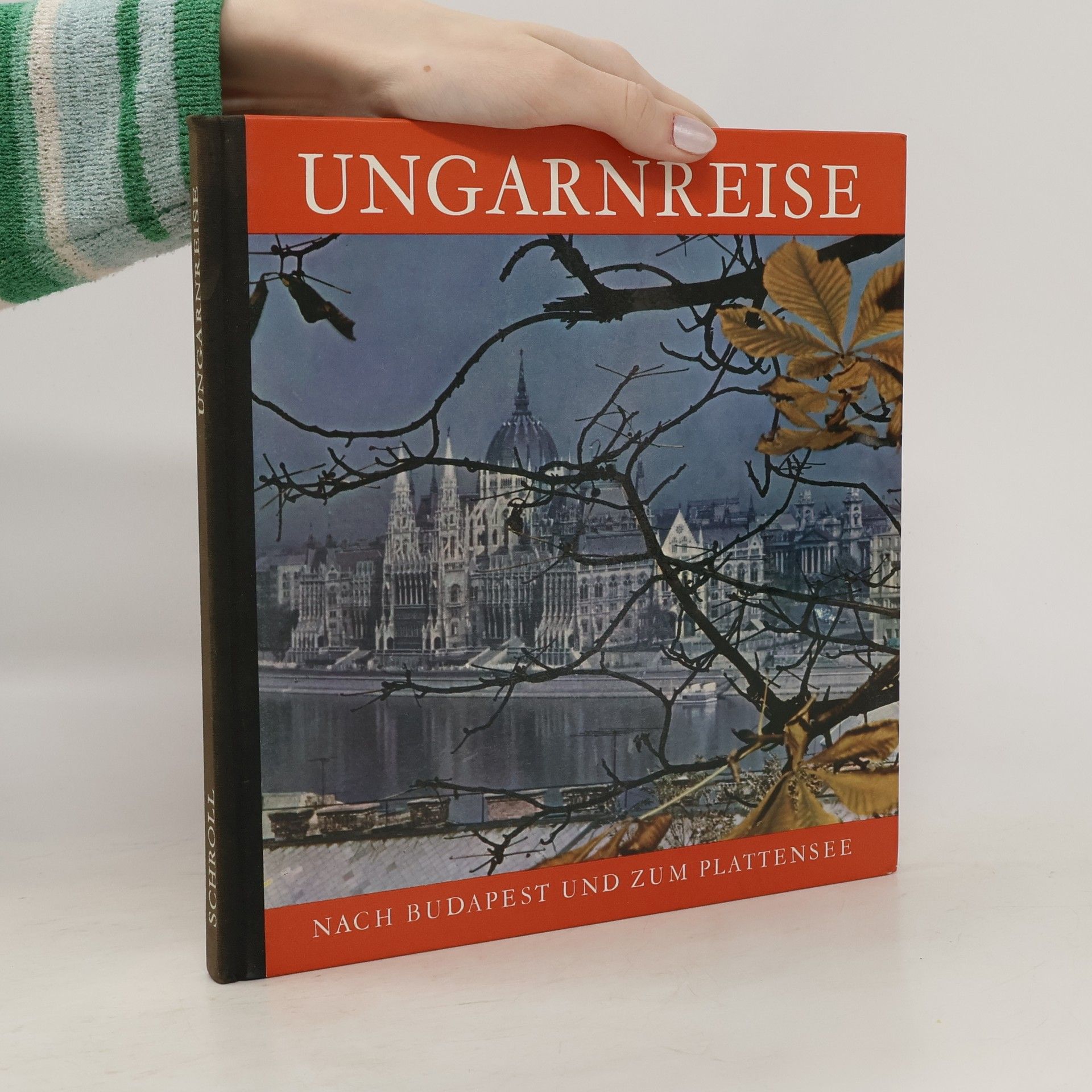 Kolektiv autorů Ungarnreise