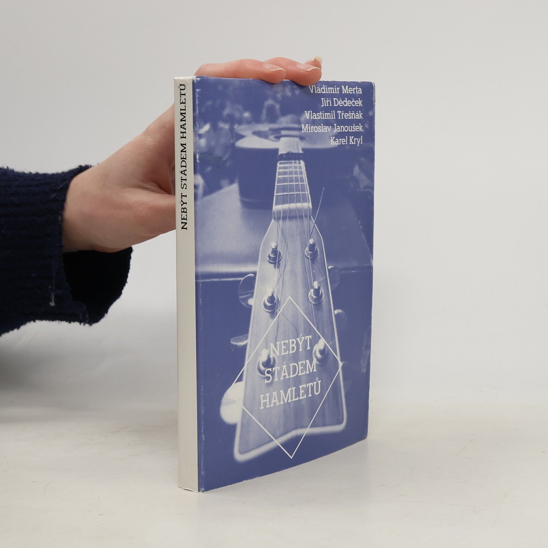 Vladimír Merta Nebýt stádem Hamletů : průhledy do českého folku : [Vladimír Merta, Jiří Dědeček, Vlastimil Třešňák, Miroslav Janoušek, Karel Kryl]