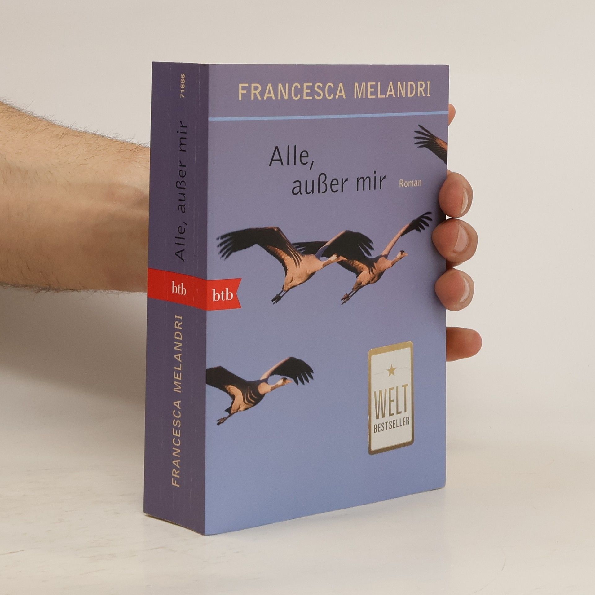 Francesca Melandri Alle, außer mir