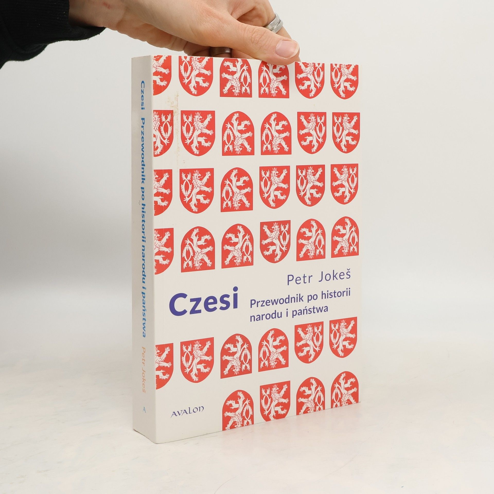 Petr Jokeš Czesi. Przewodnik po historii narodu i państwa
