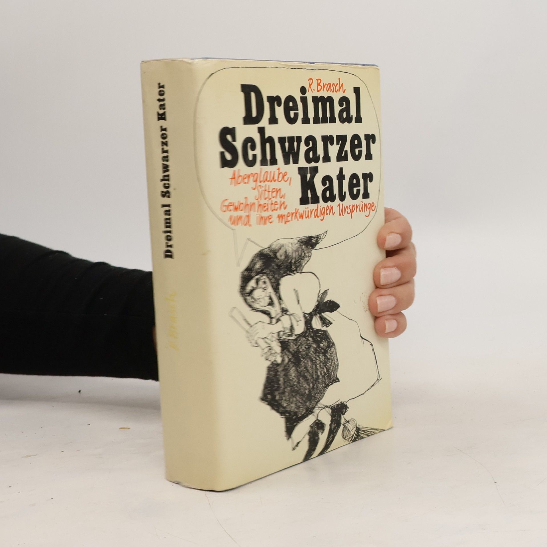 Dreimal Schwarzer Kater