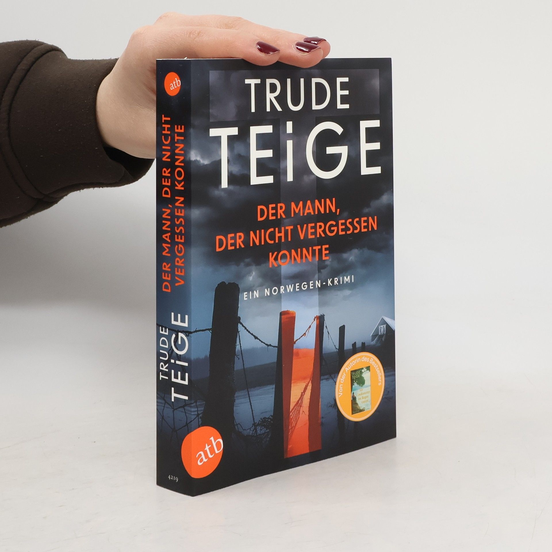 Trude Teige Der Mann, der nicht vergessen konnte