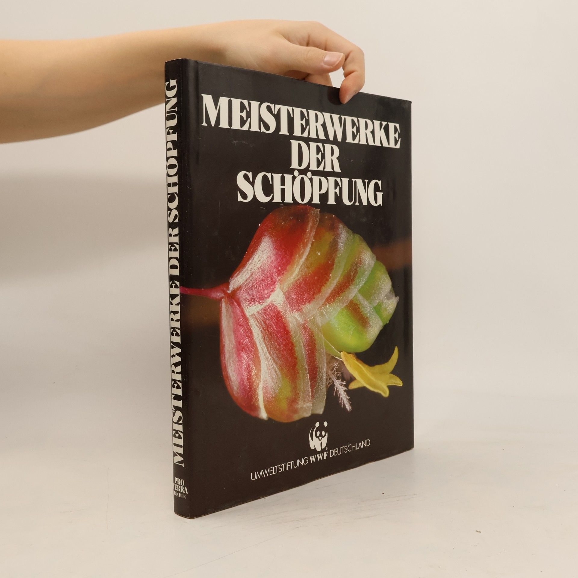 Autorenkollektiv Meisterwerke der Schöpfung