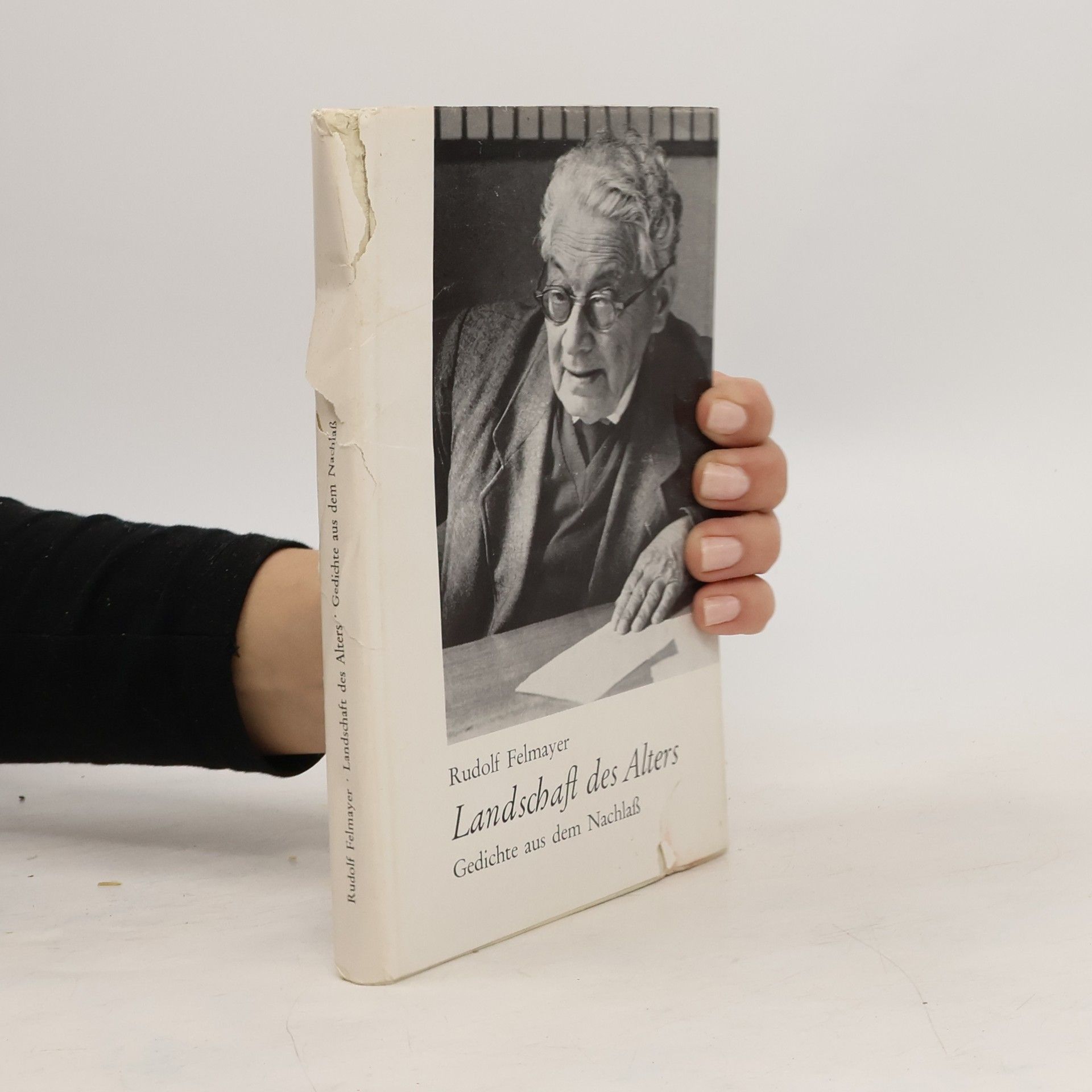 Rudolf Felmayer Landschaft des Alters