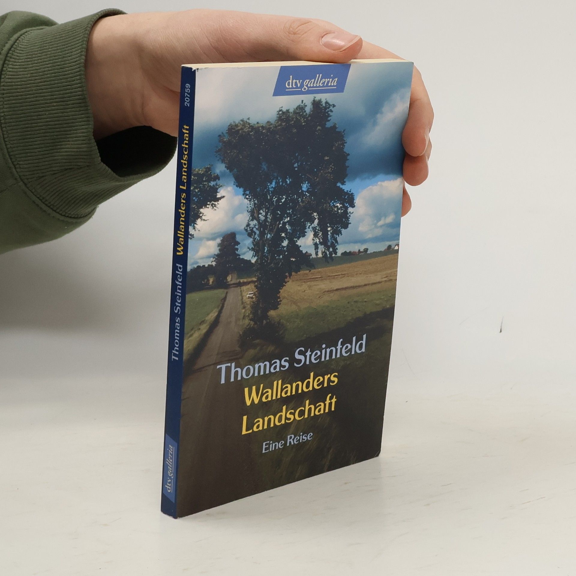 Thomas Steinfeld Wallanders Landschaft