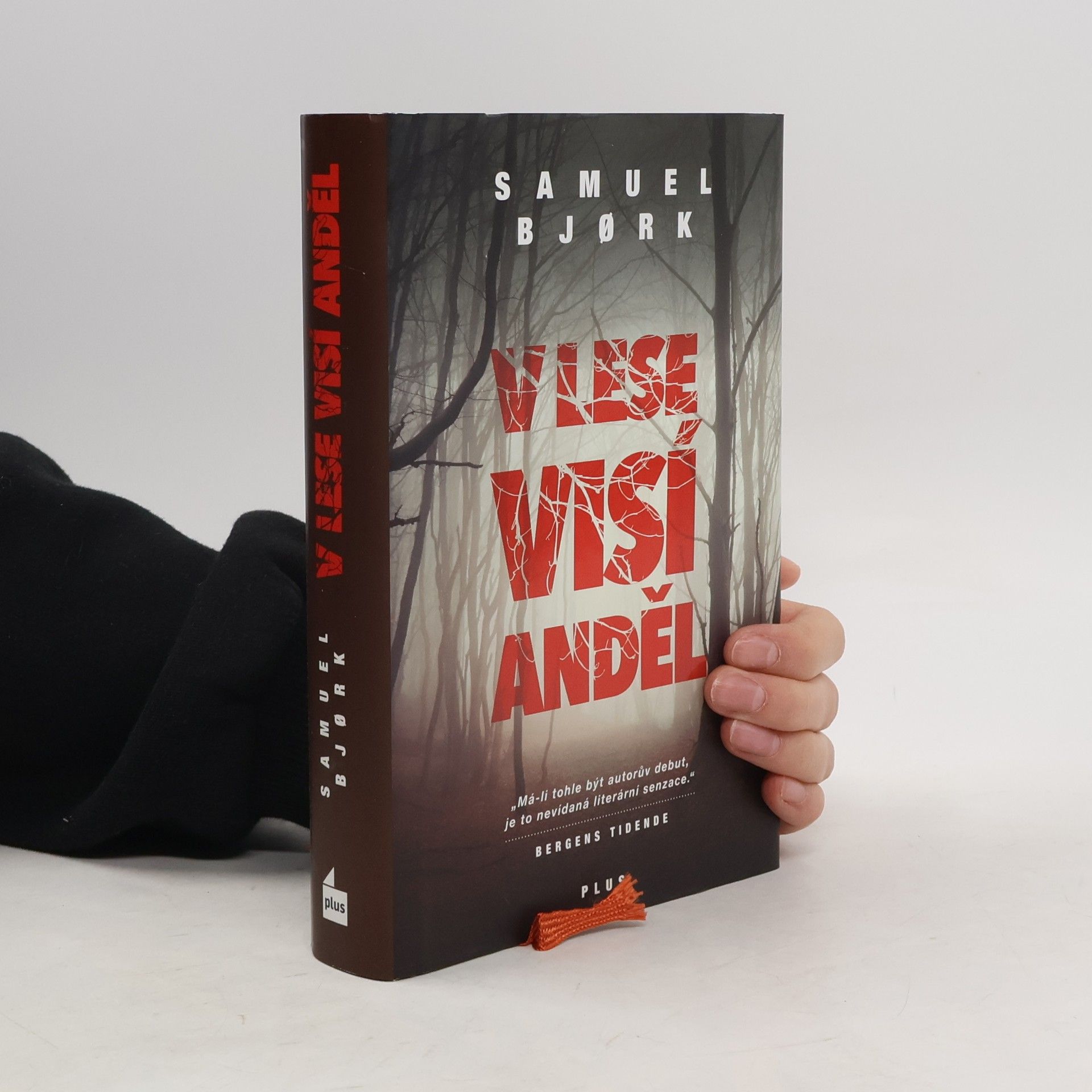 Samuel Bjork V lese visí anděl