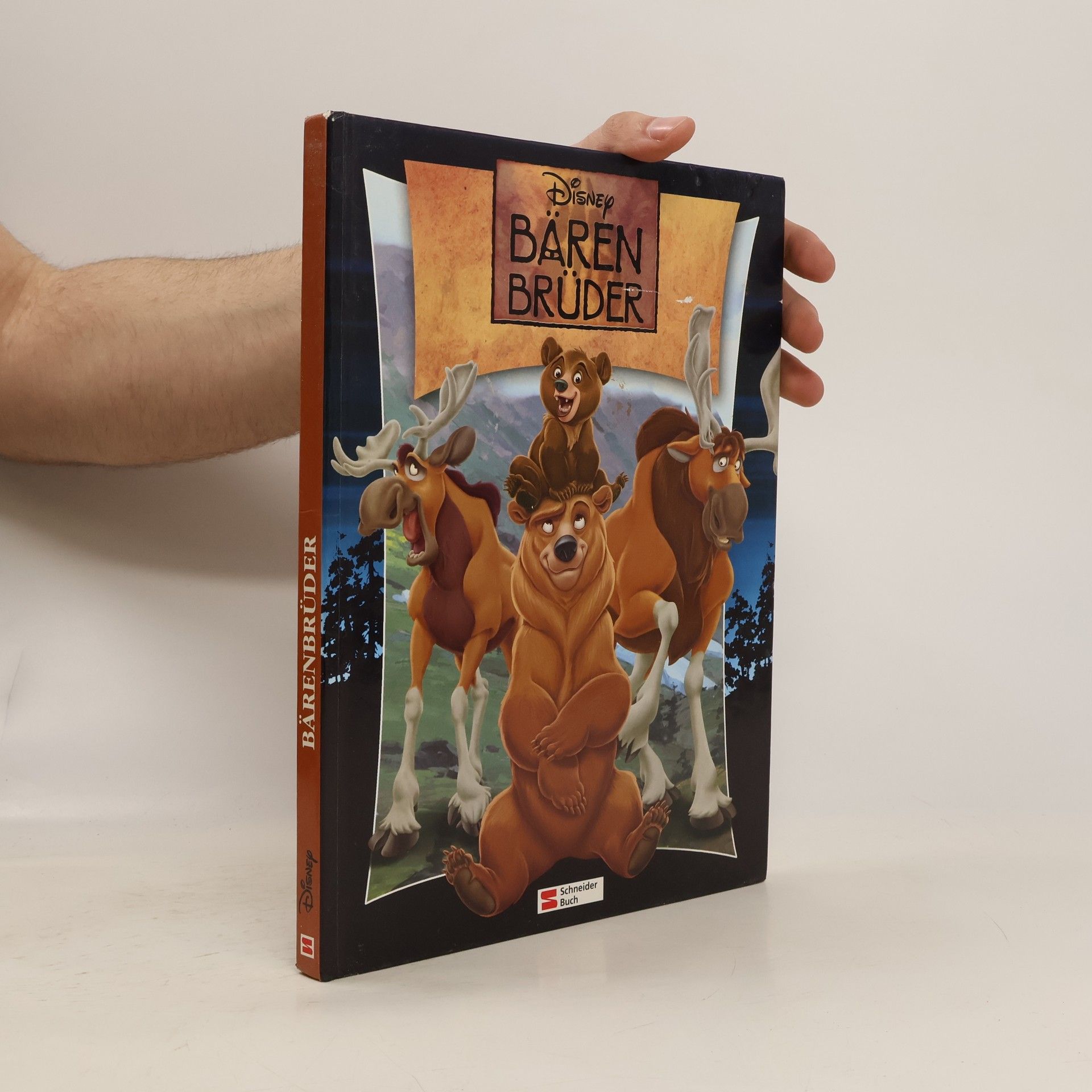 Walt Disney Disney: Bärenbrüder