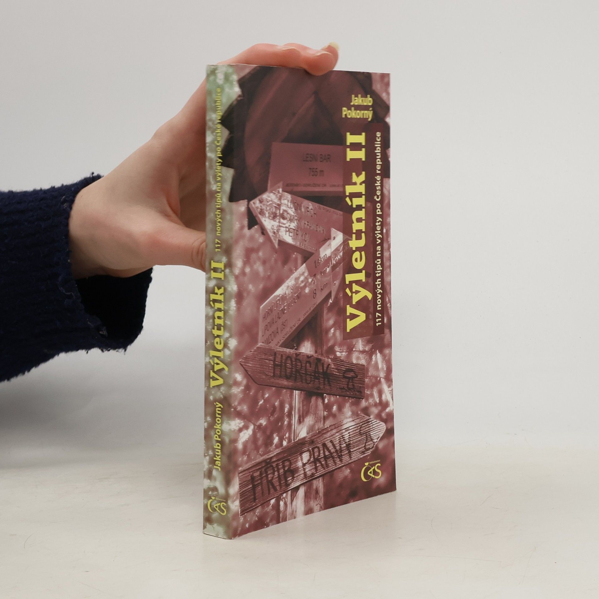 Jakub Hugo Pokorný Výletník II