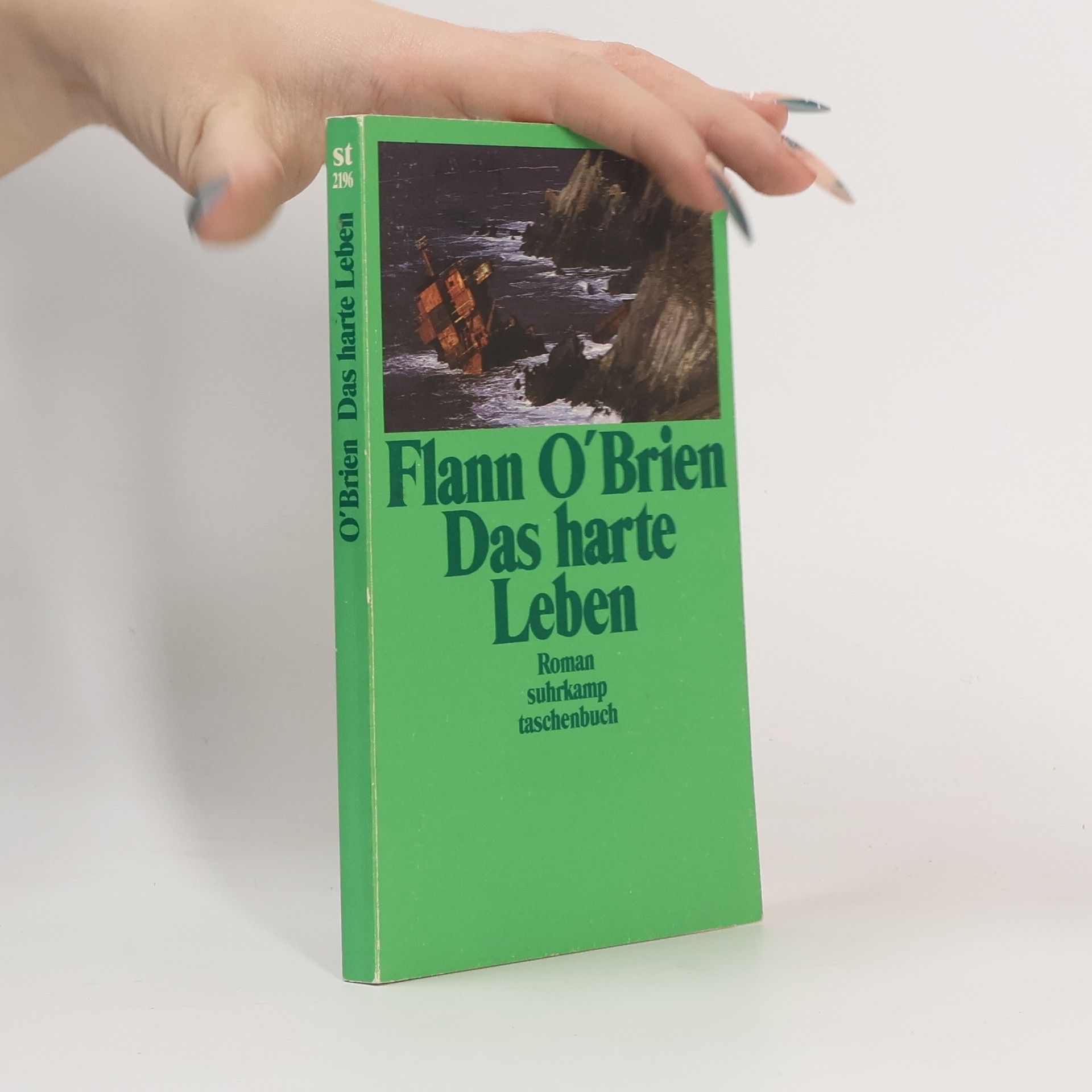 Flann O. Brien Das harte Leben
