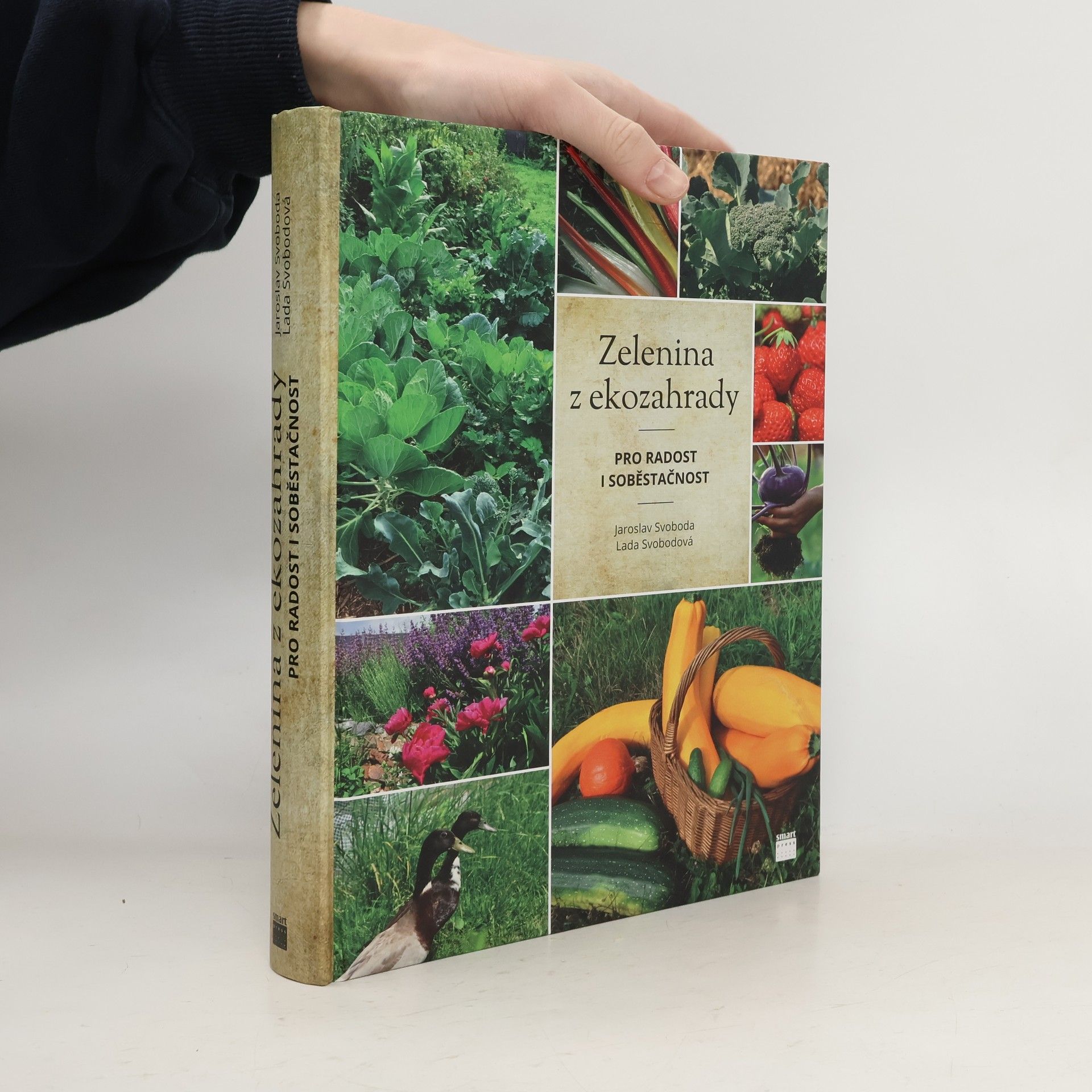 Zelenina z ekozahrady pro radost i soběstačnost