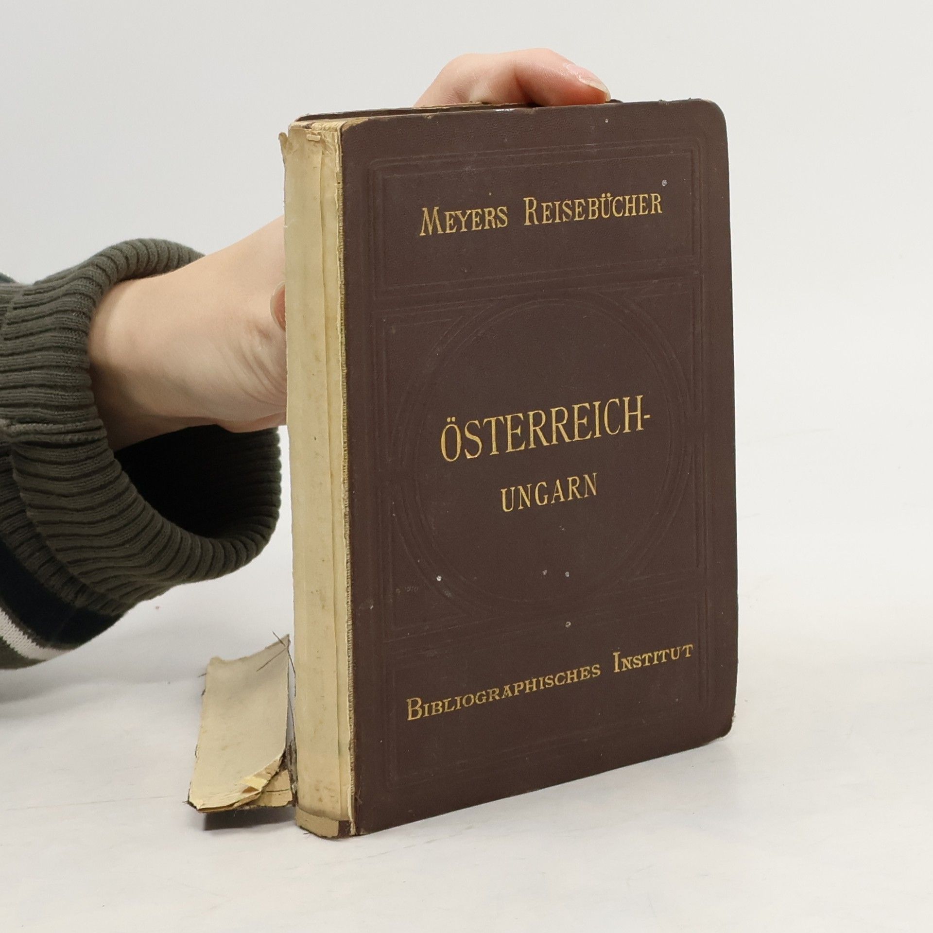Autores varios Österreich und das angrenzende Ungarn