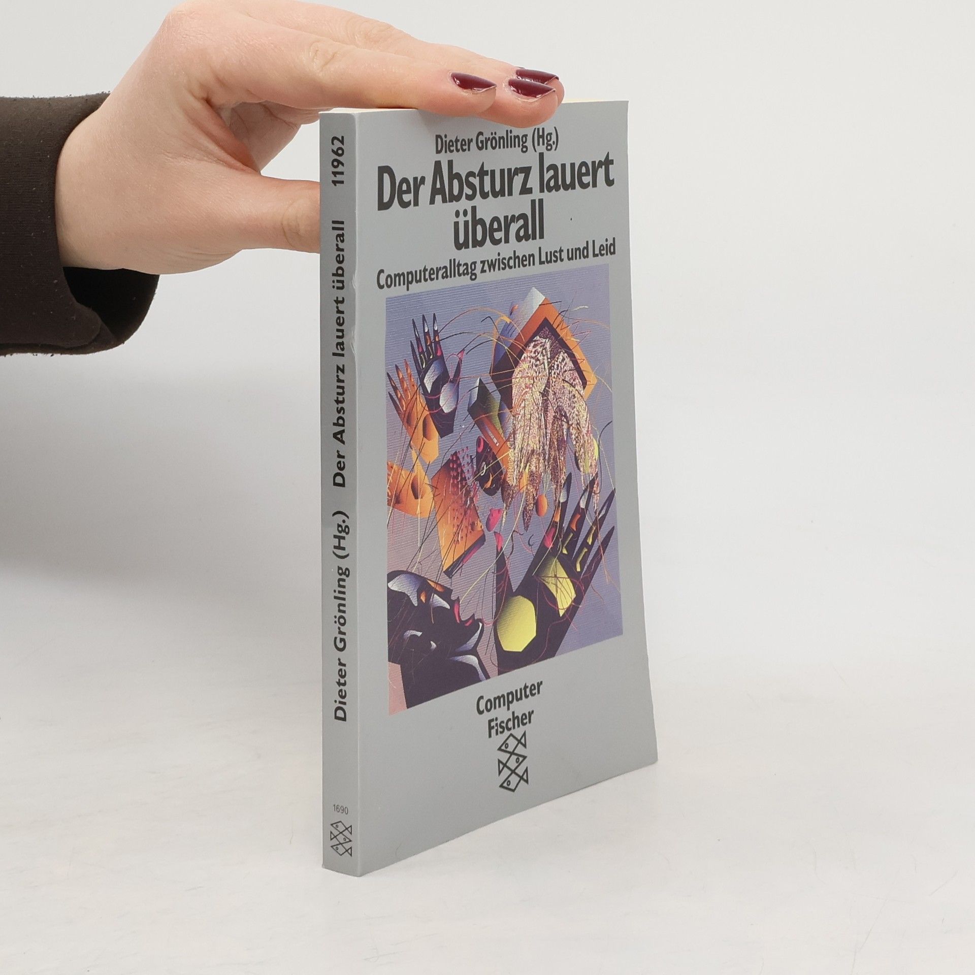 Dieter Grönling Der Absturz lauert überall