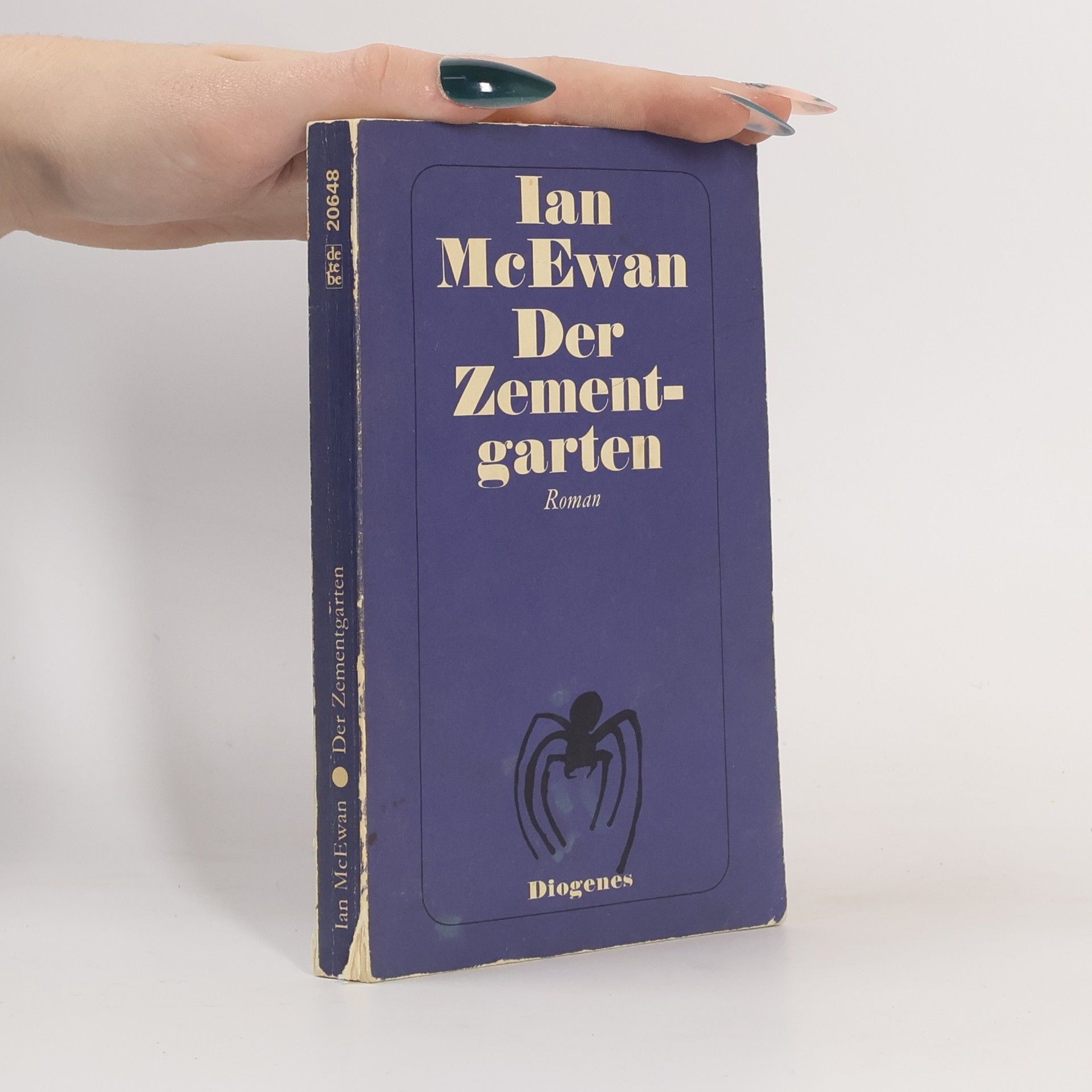 Ian McEwan Der Zementgarten