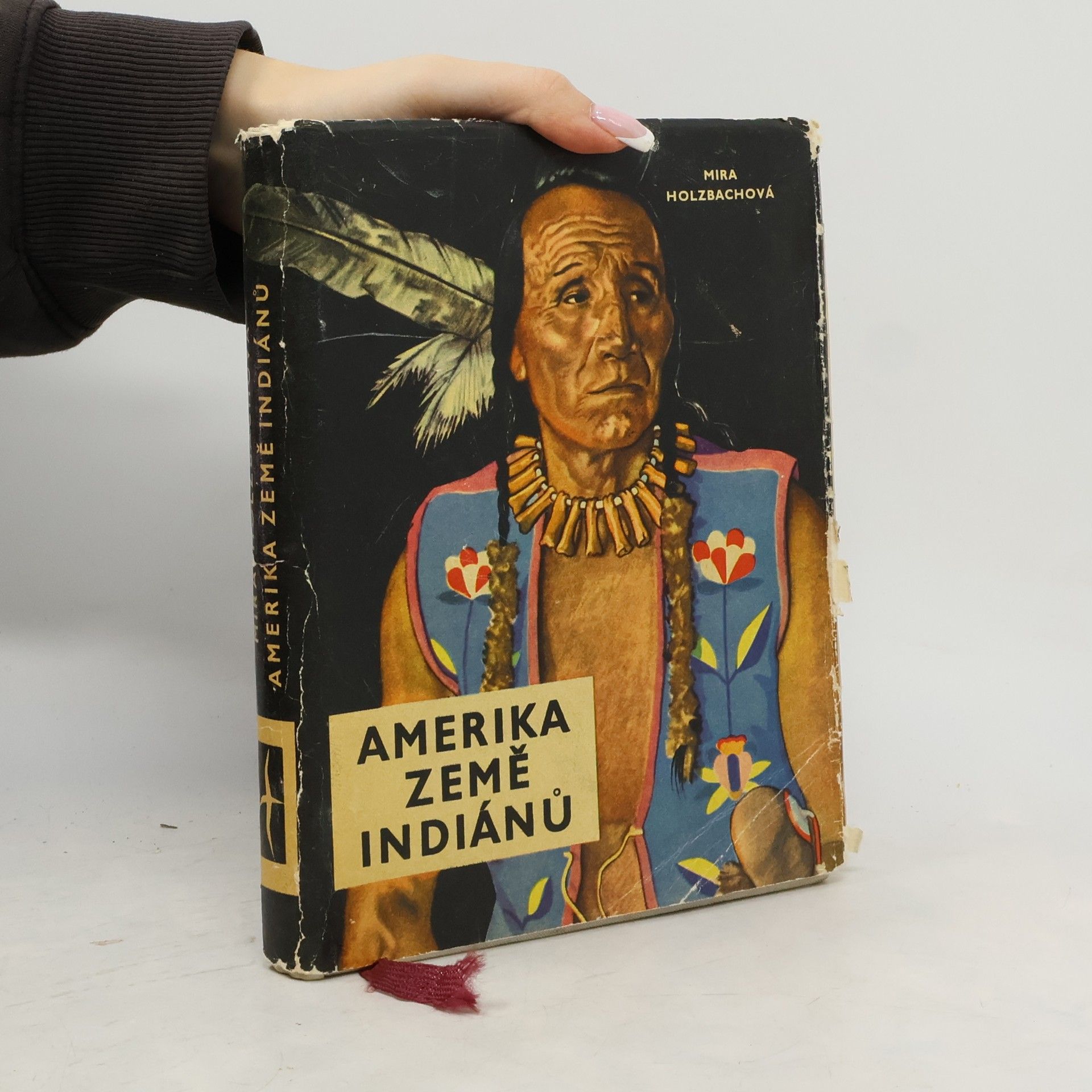 Mira Holzbachová Amerika, země Indiánů