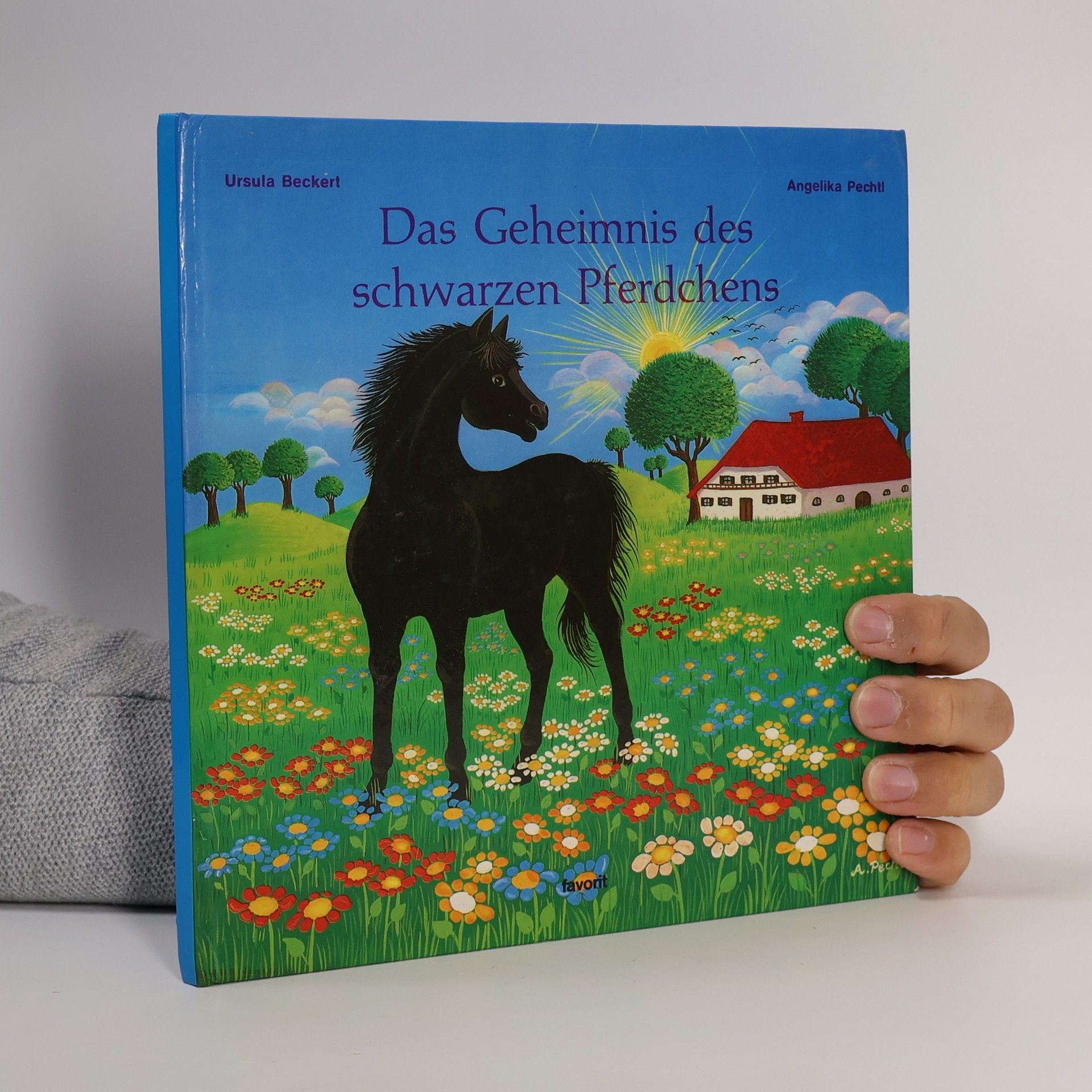 Ursula Beckert Das Geheimnis des schwarzen Pferdchens