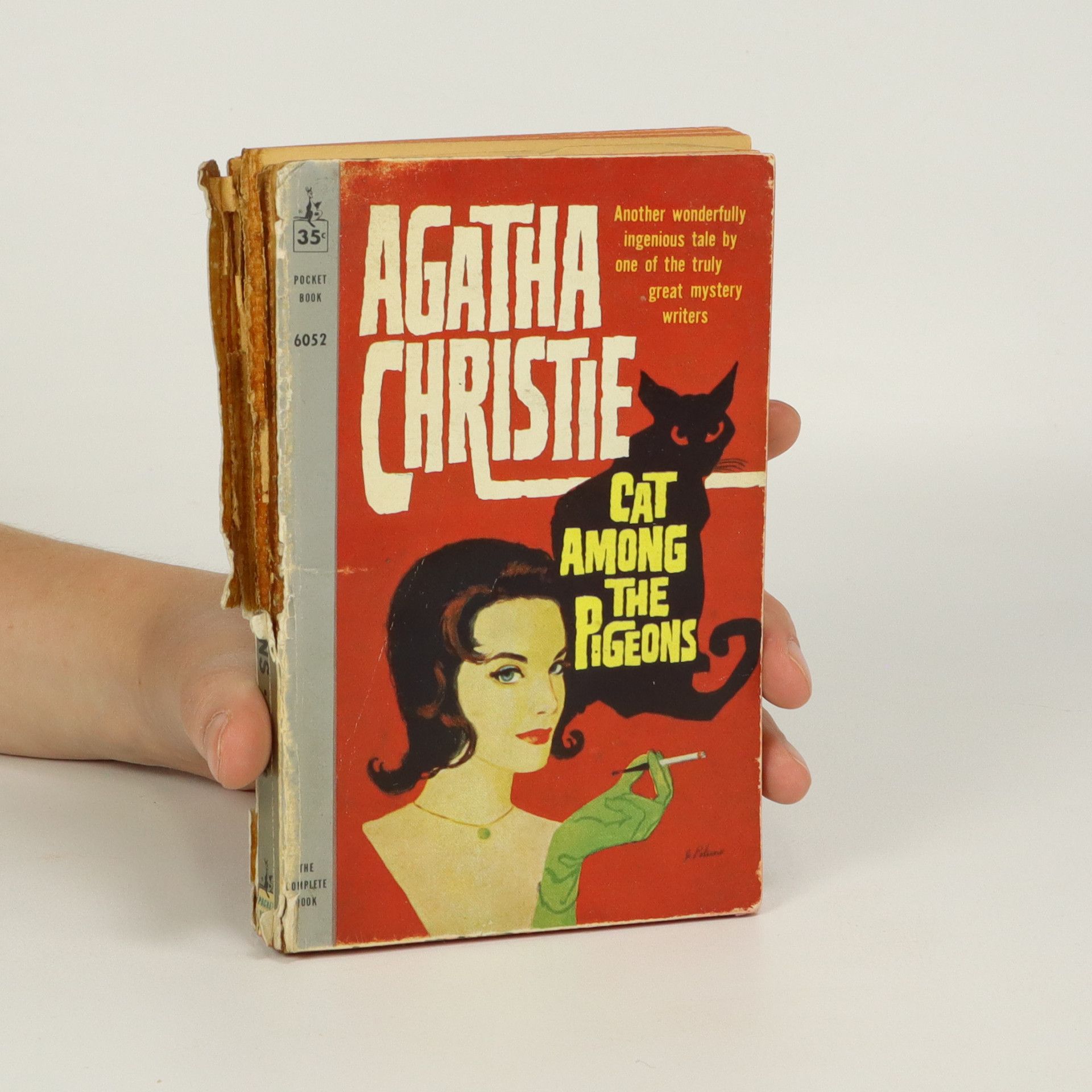 Agatha Christie Cat Among the Pigeons