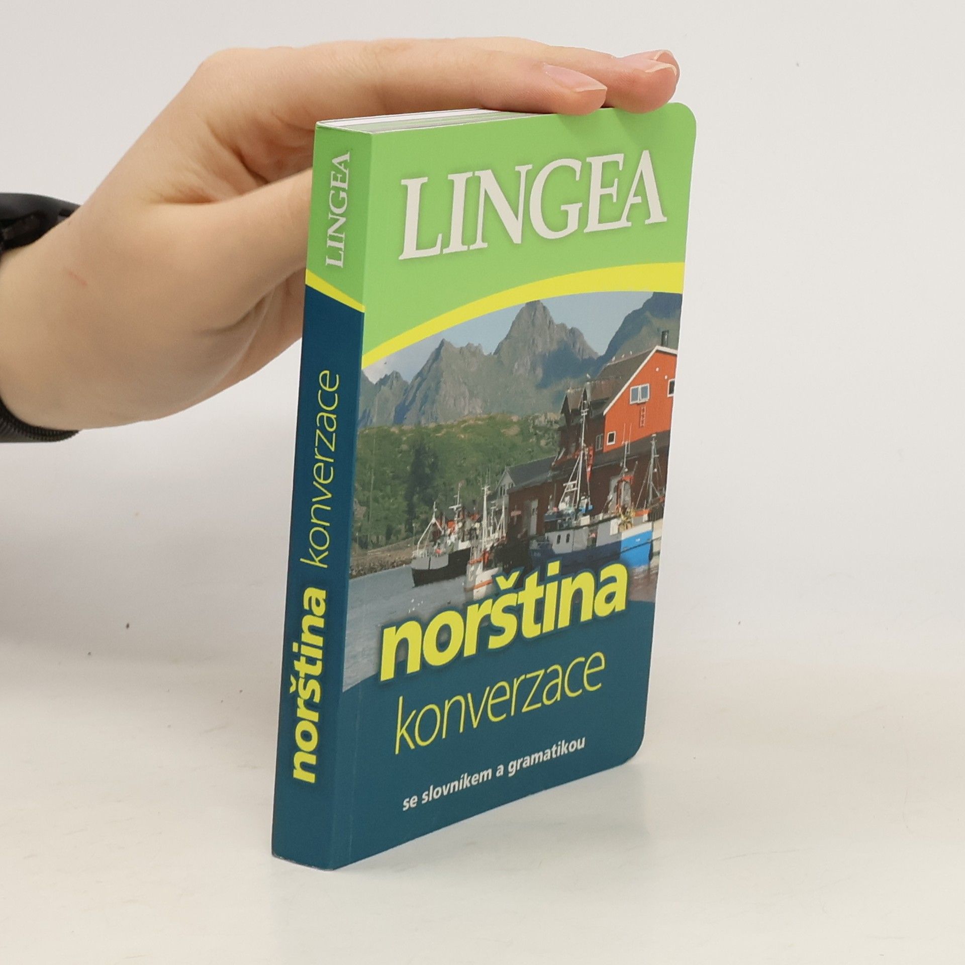 Autorenkollektiv Norština. Konverzace se slovníkem a gramatikou