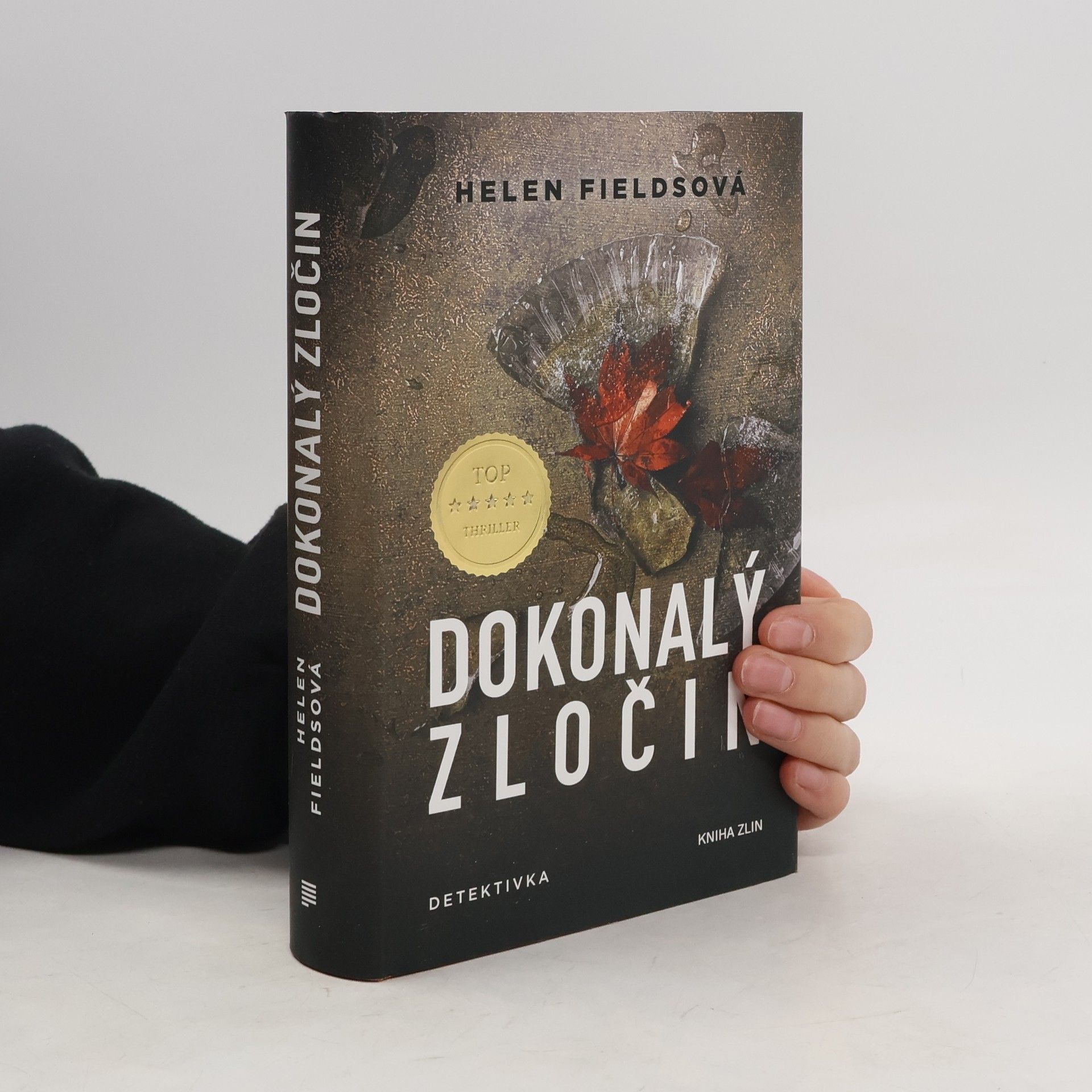 Helen Fields Dokonalý zločin