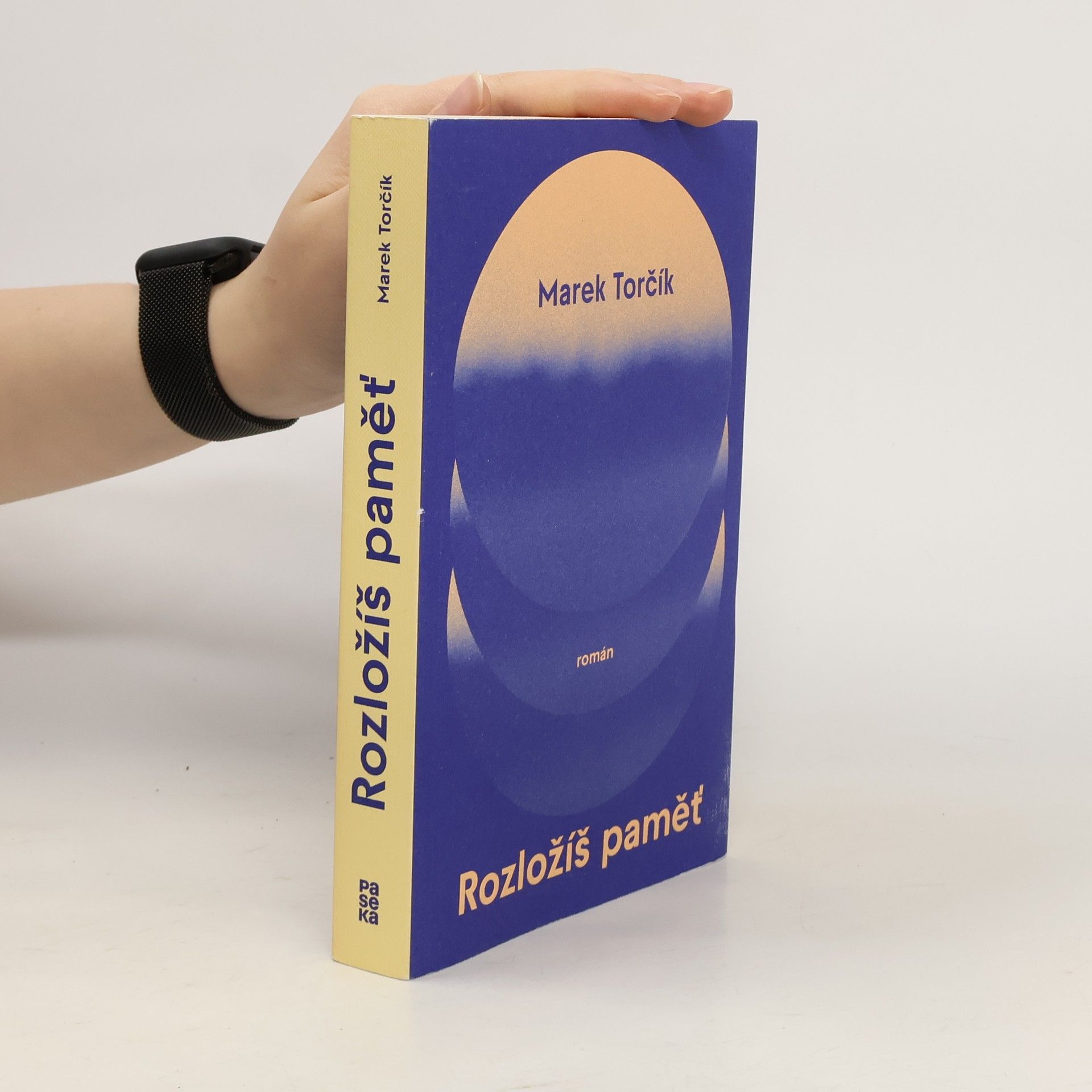 Marek Torčík Rozložíš paměť