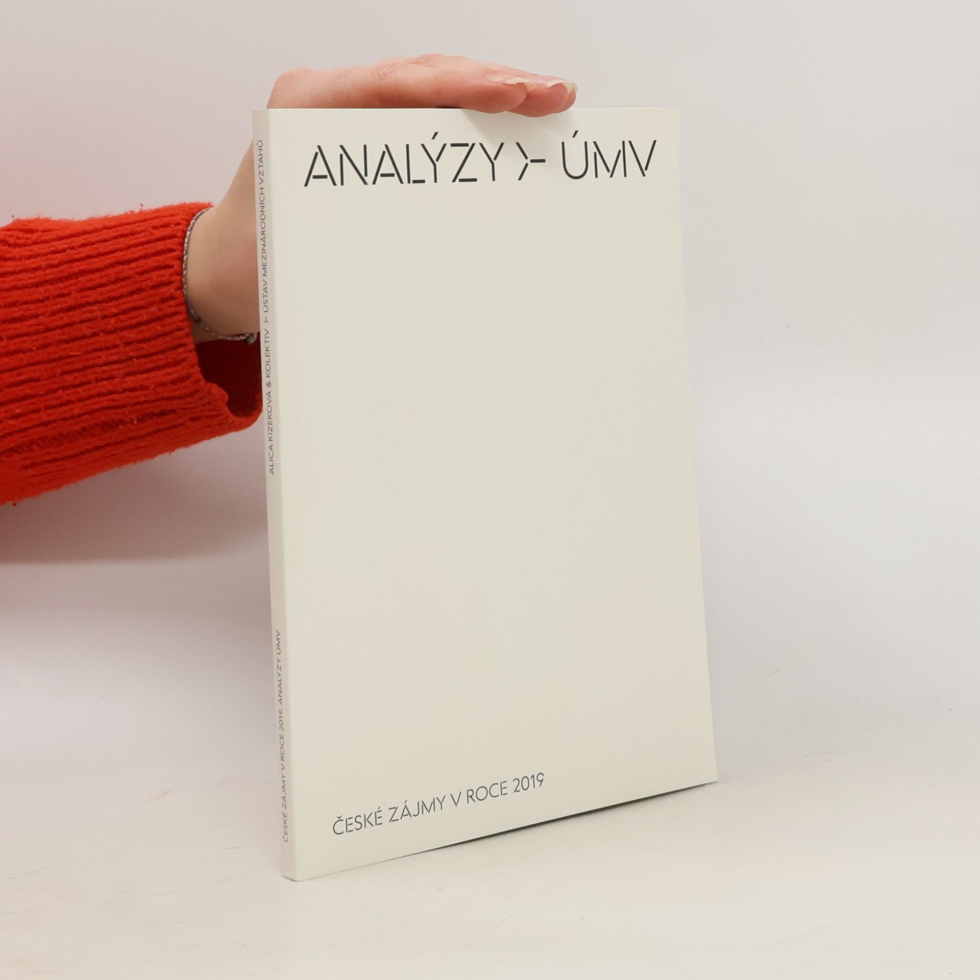 České zájmy v roce 2019