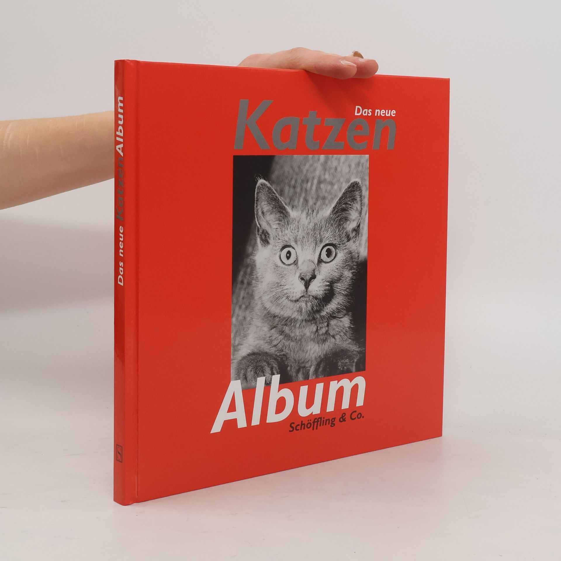 Julia Bachstein Das neue Katzen-Album