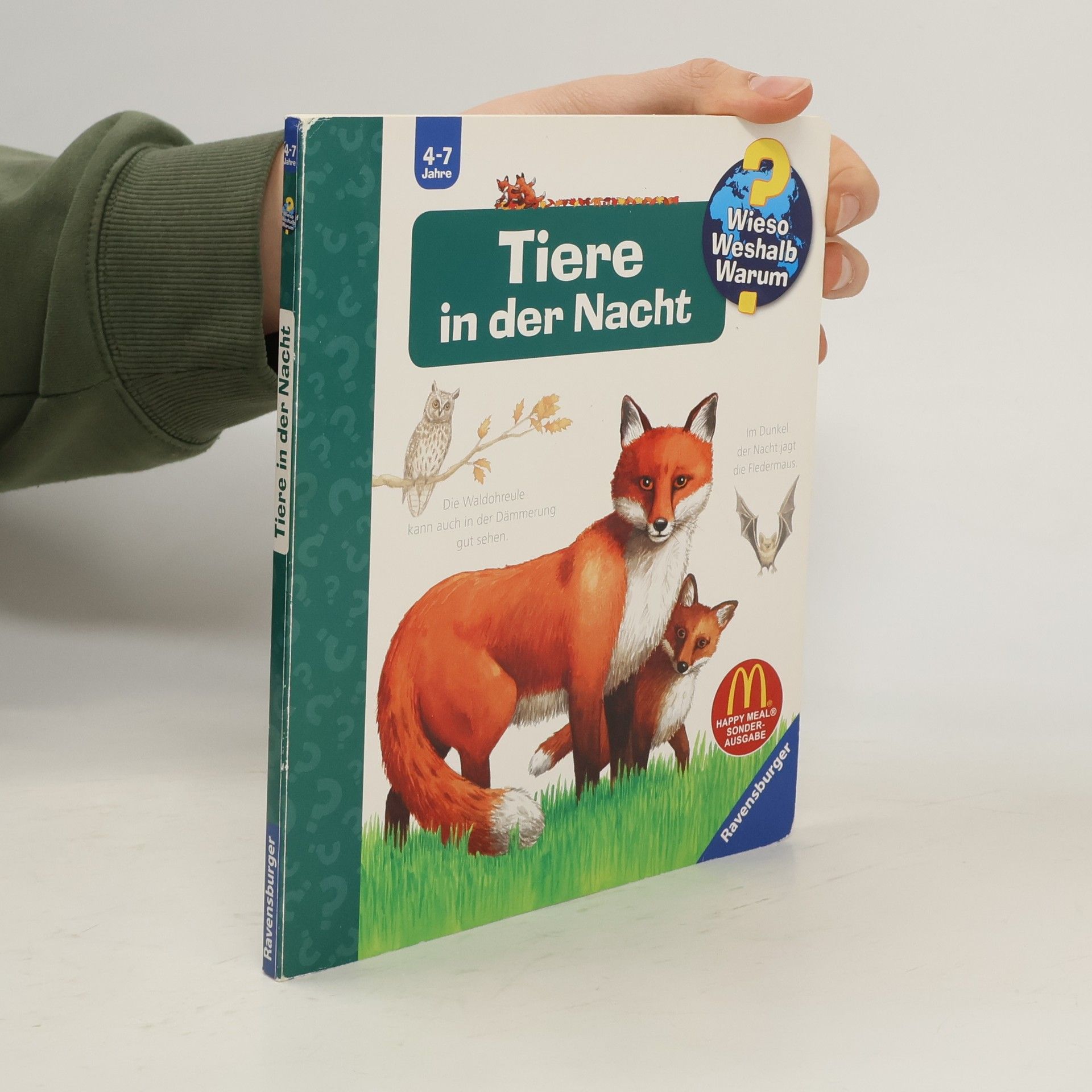 Anne Ebert Tiere in der Nacht