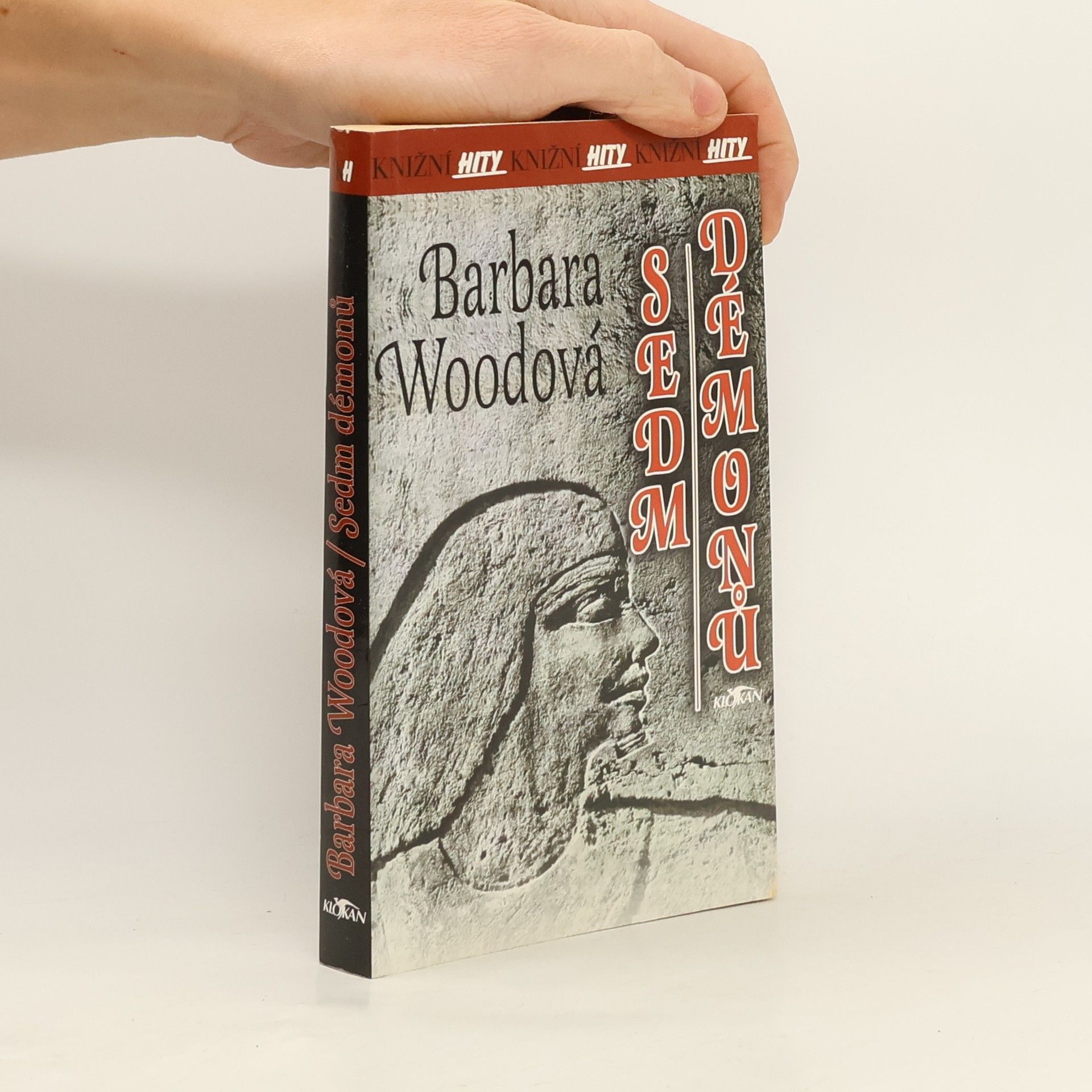 Barbara Wood Sedm démonů