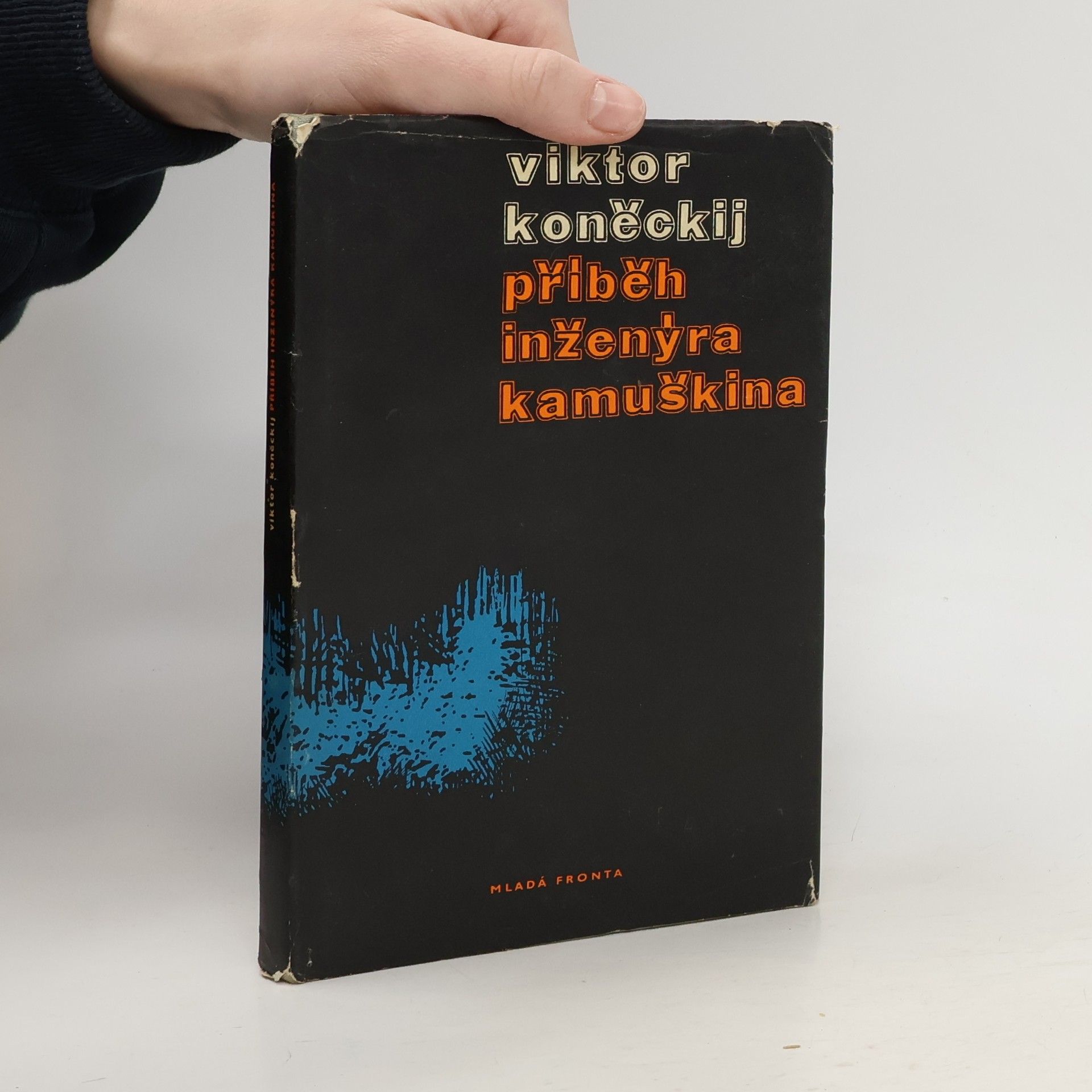 Příběh inženýra Kamuškina