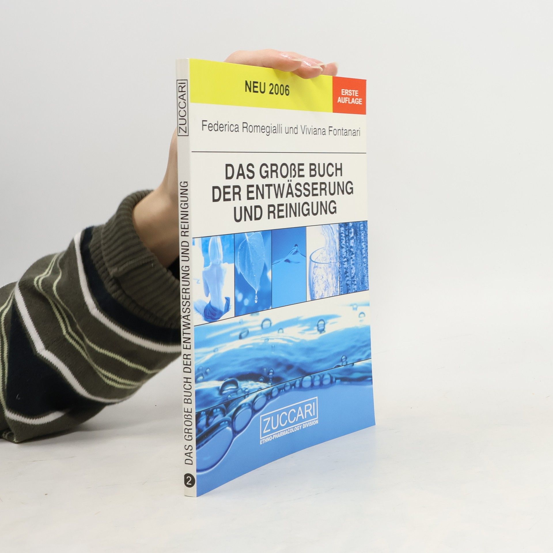 Federica Romegialli Das große Buch der Entwässerung und Reinigung