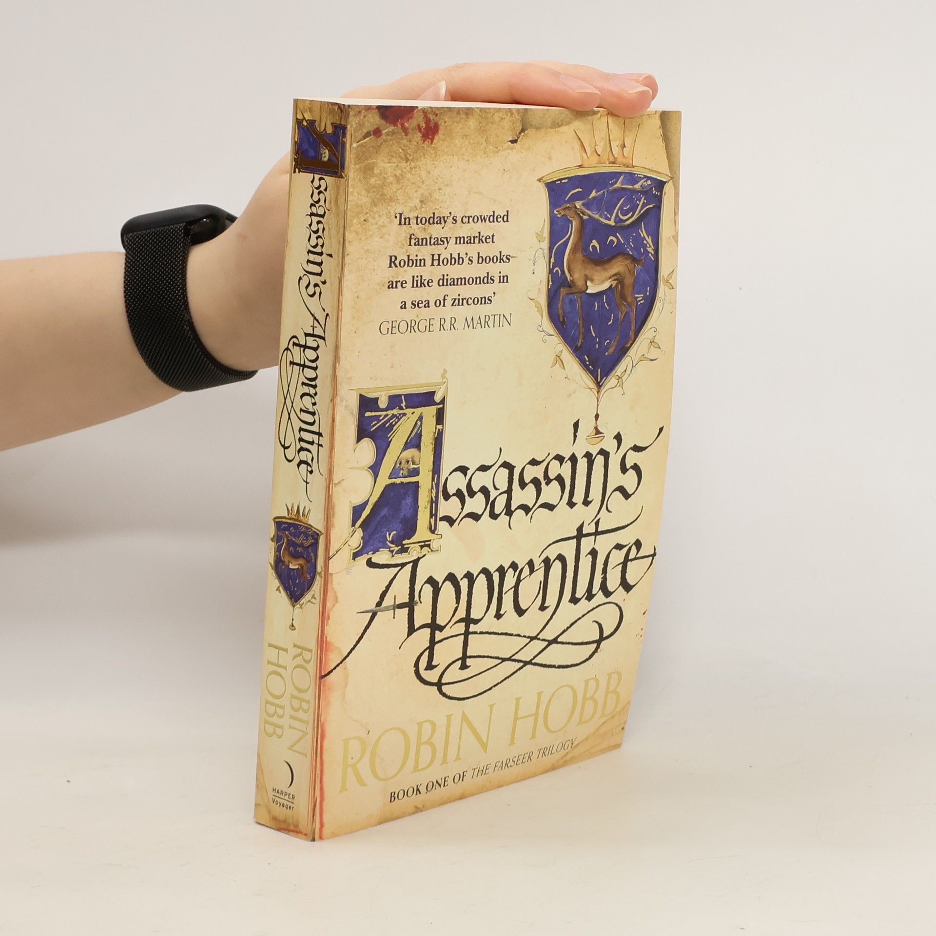 Robin Hobb Assassin's Apprentice