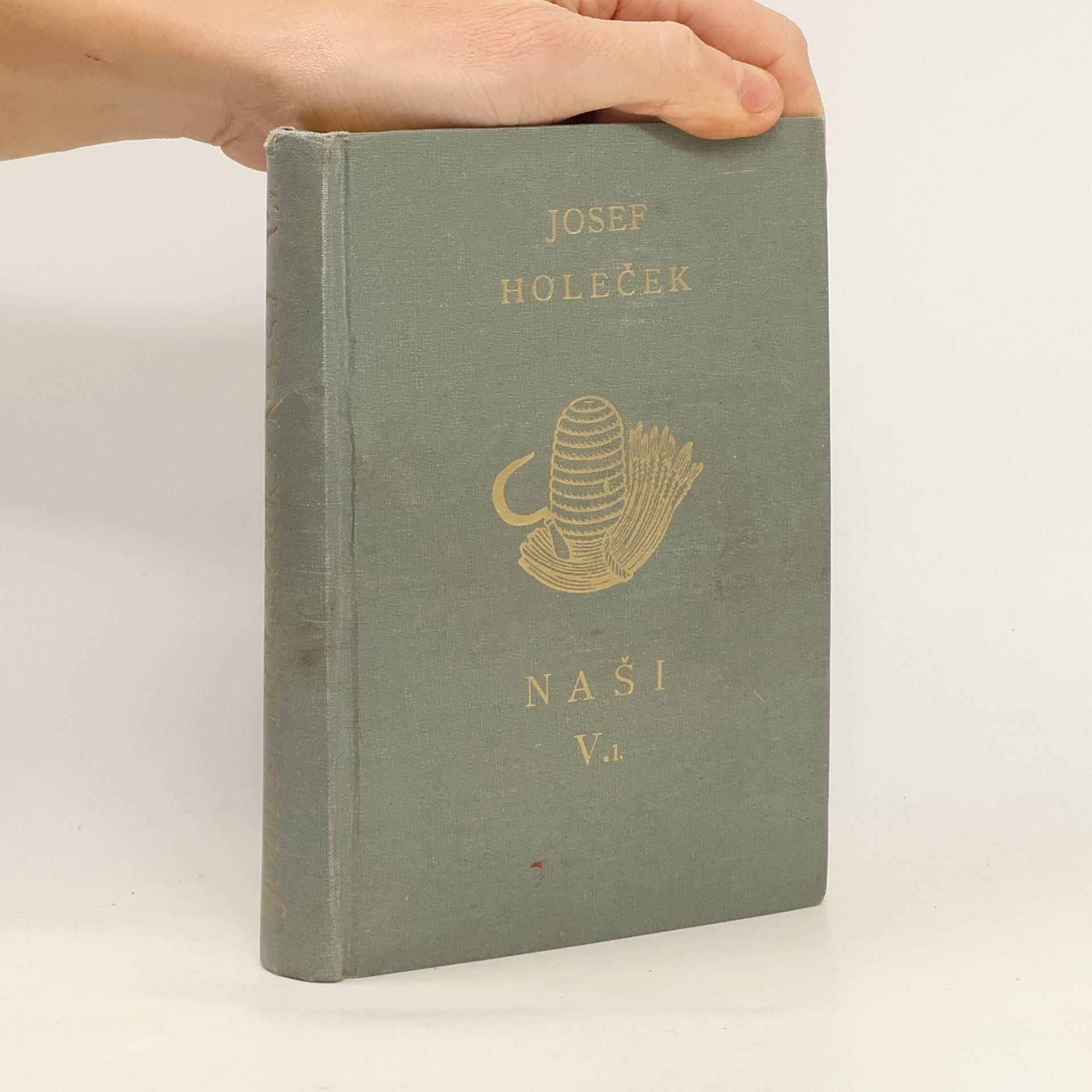 Josef Holečka Naši. Kniha pátá. Adamova Svatba I.