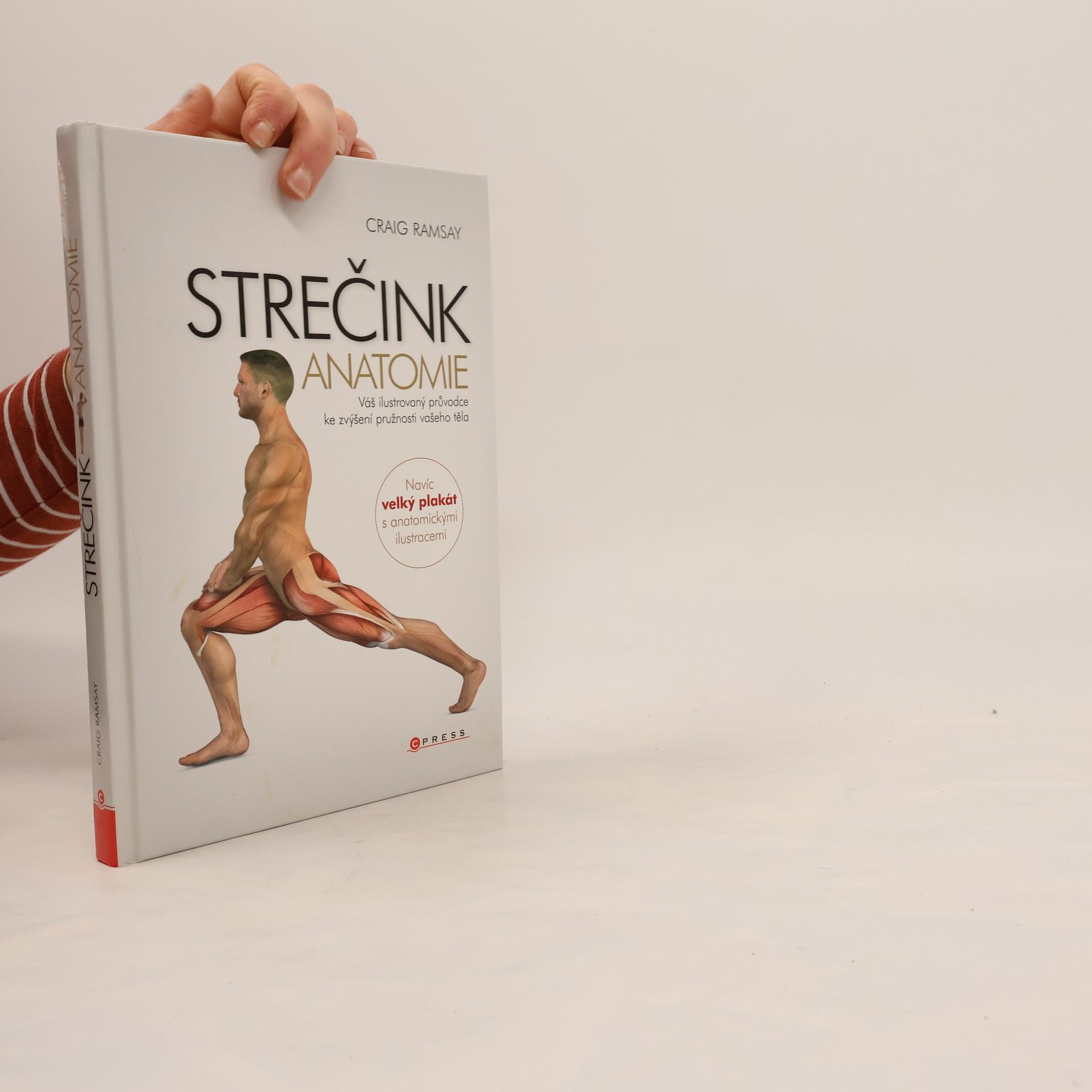 Craig Ramsay Strečink - anatomie