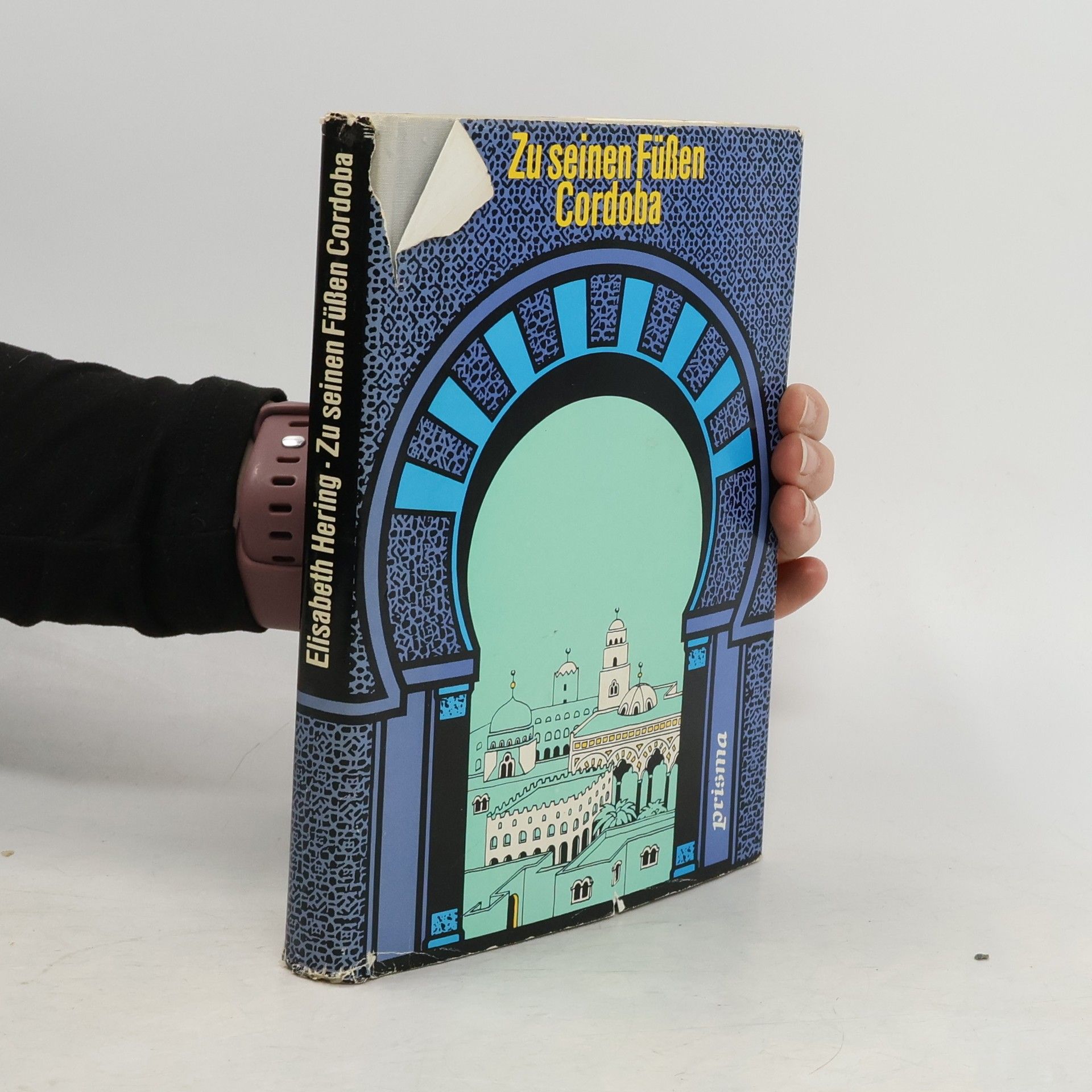 Zu seinen Füßen Cordoba