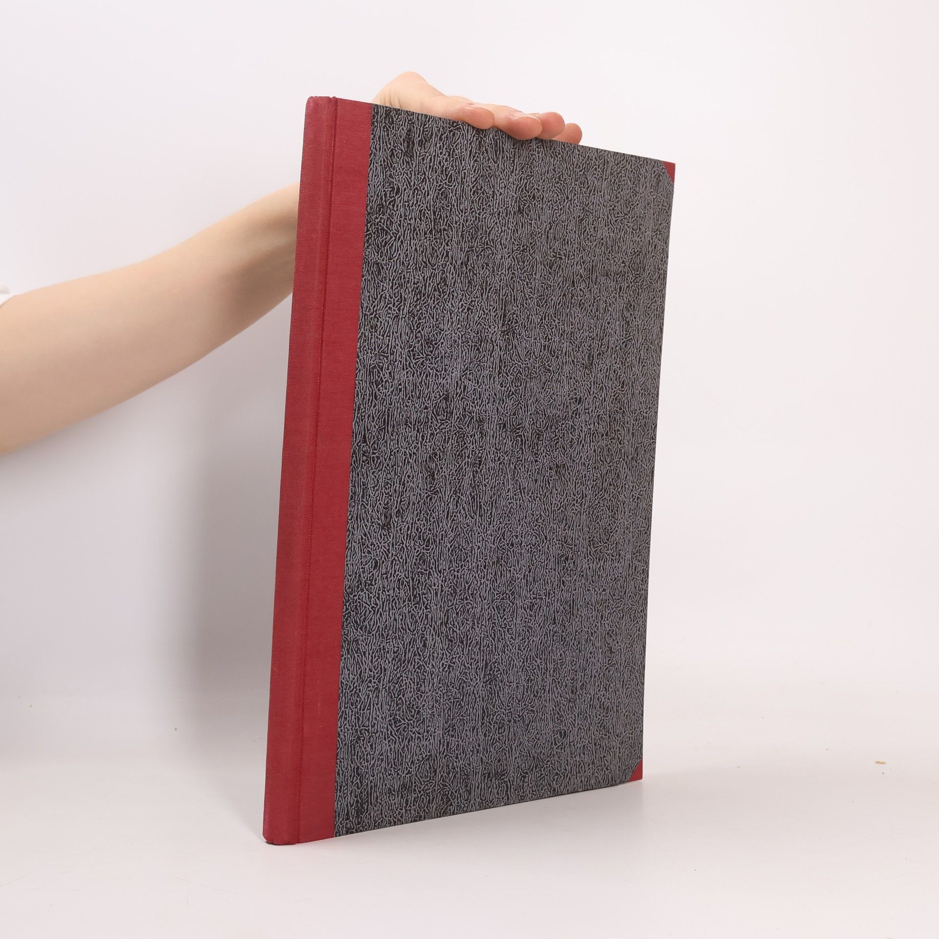 François Villon Das grosse Testament