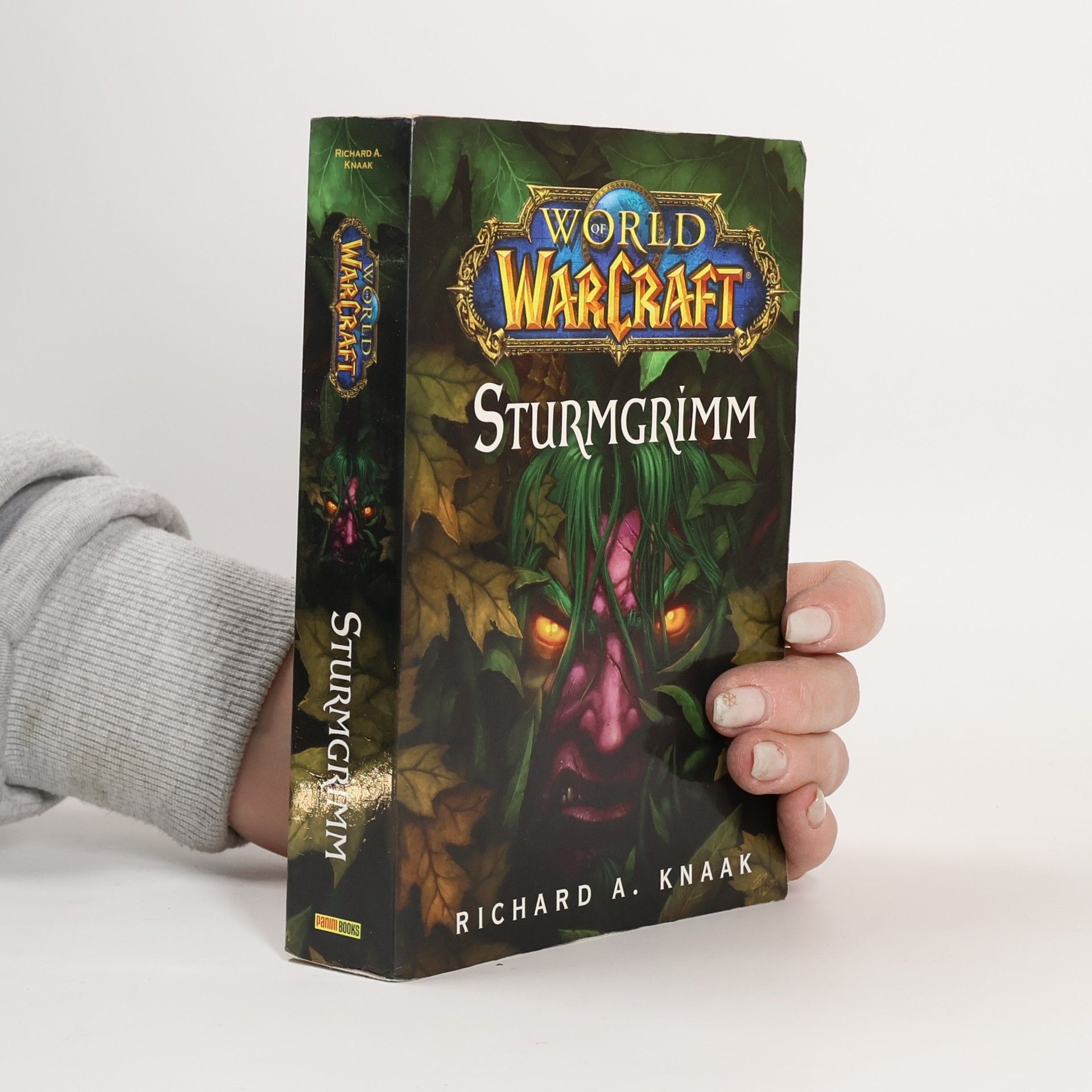 Richard A. Knaak World of Warcraft Bd. 7:Sturmgrimm