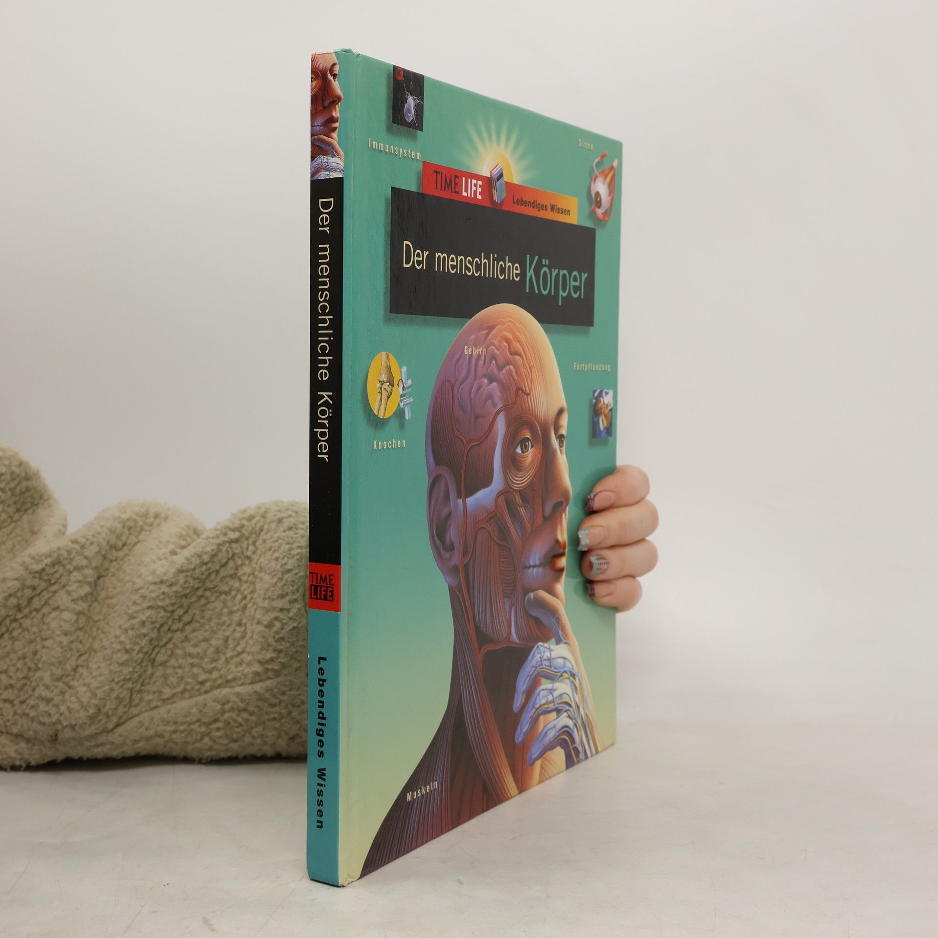 Marianne Tölle Der menschliche Körper