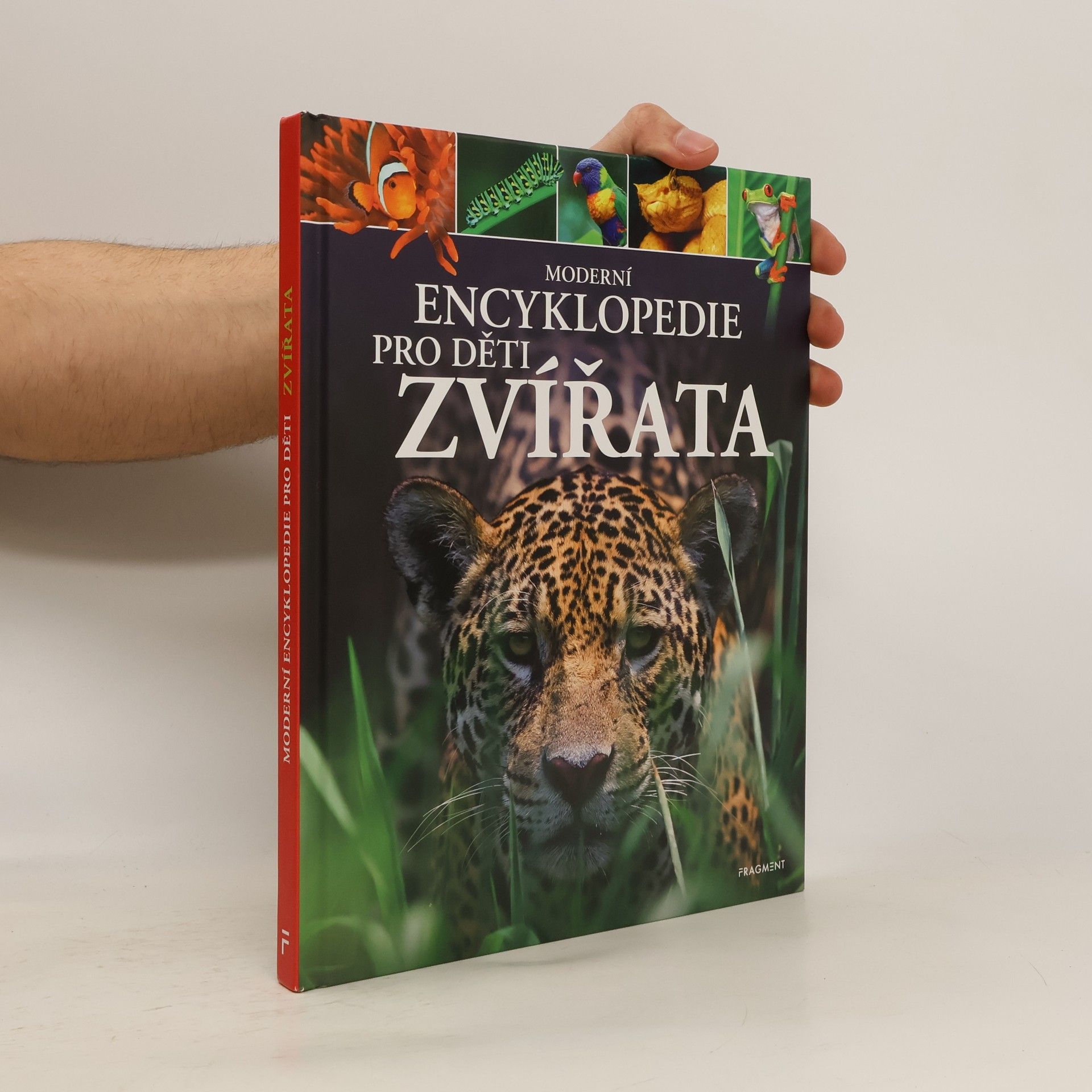 Michael Leach Moderní encyklopedie pro děti - Zvířata