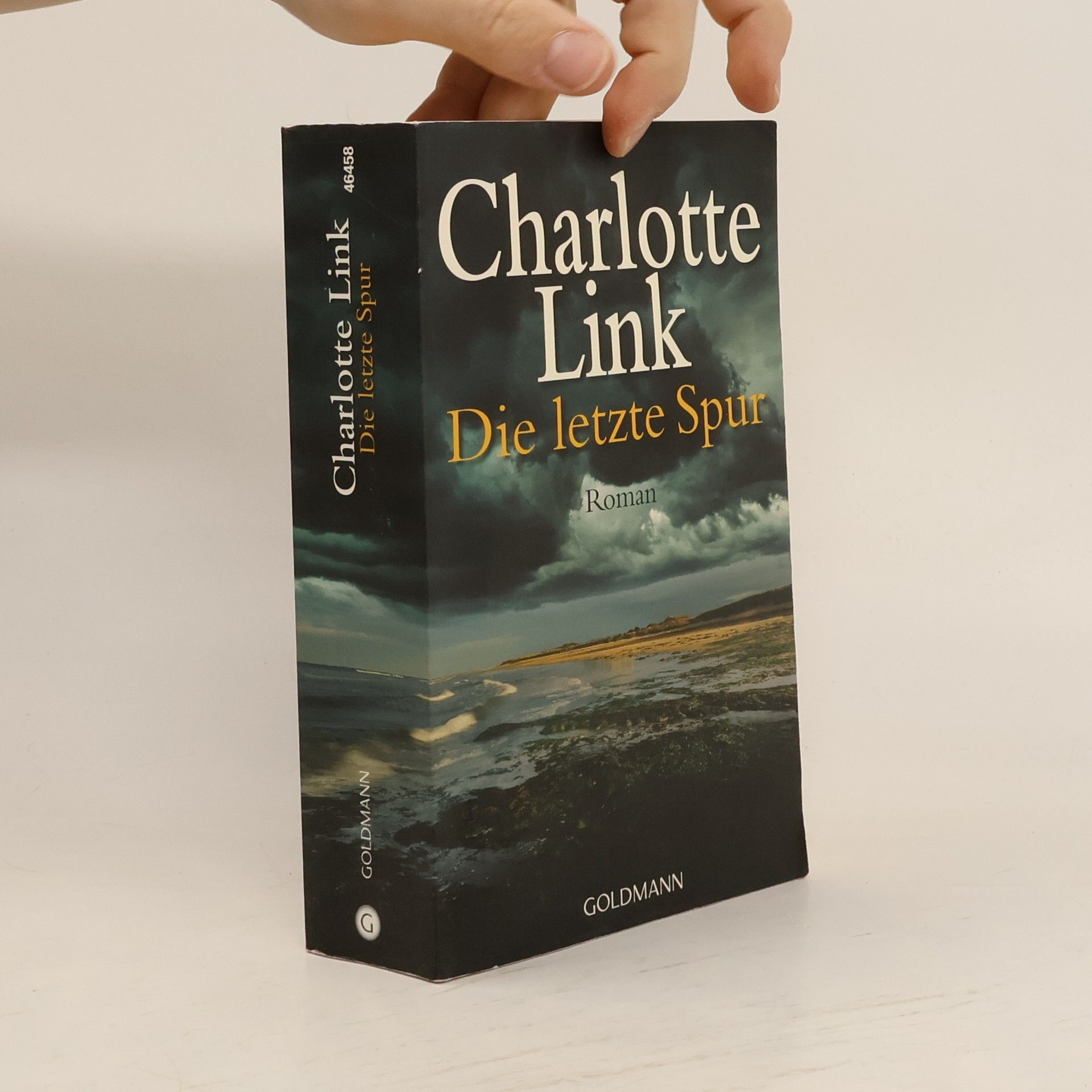 Charlotte Link Die letzte Spur