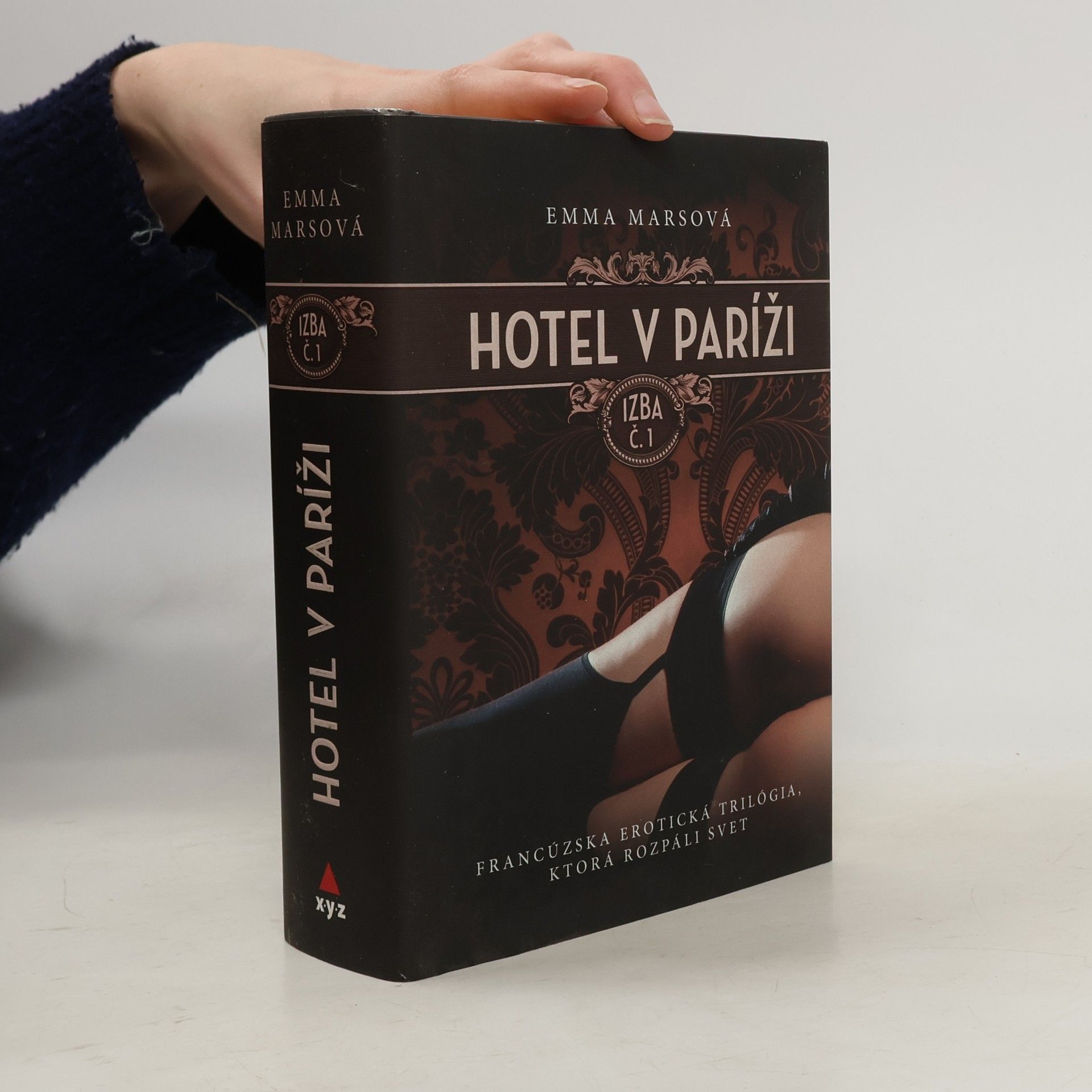 Hotel v Paríži: Izba č.1