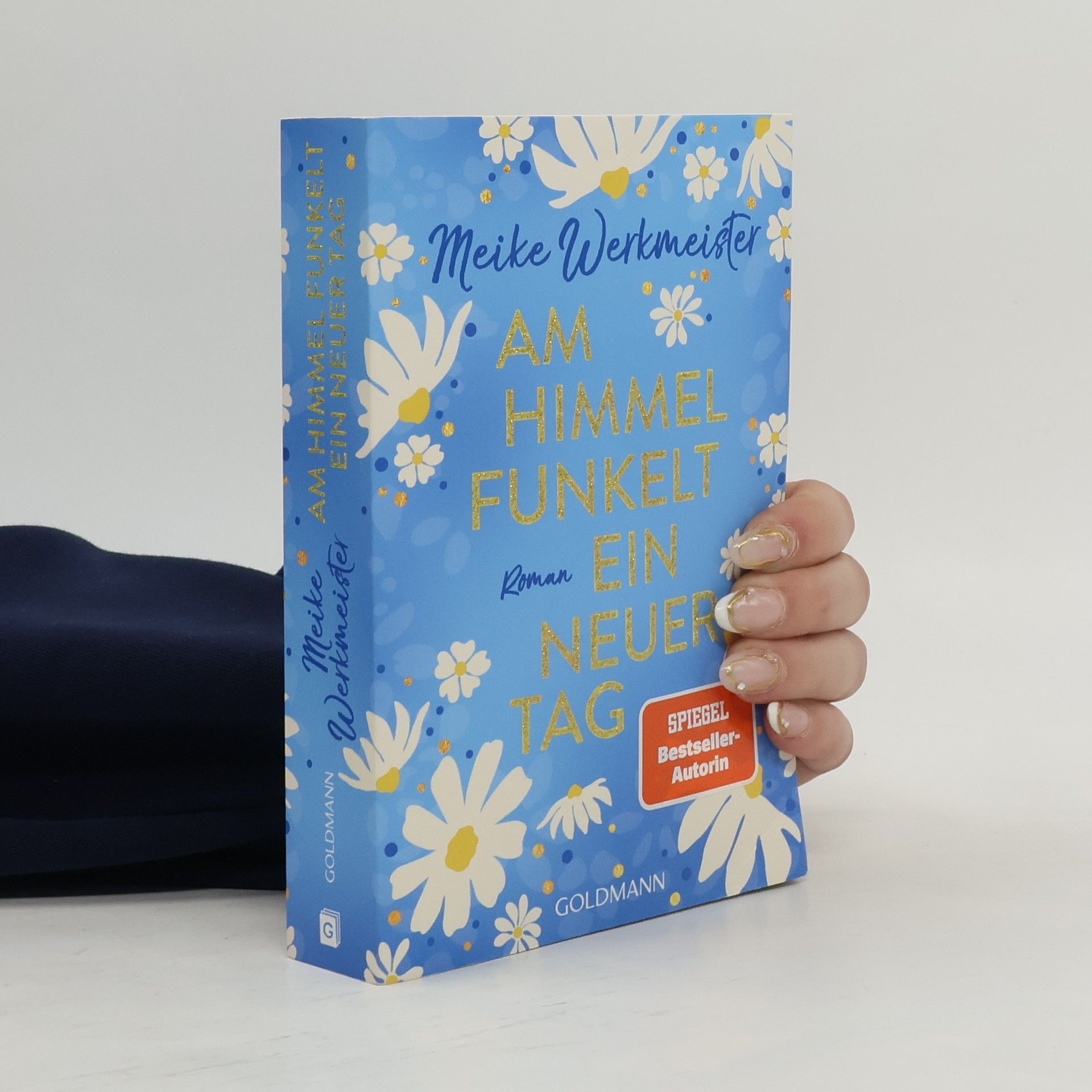 Meike Werkmeister Am Himmel funkelt ein neuer Tag