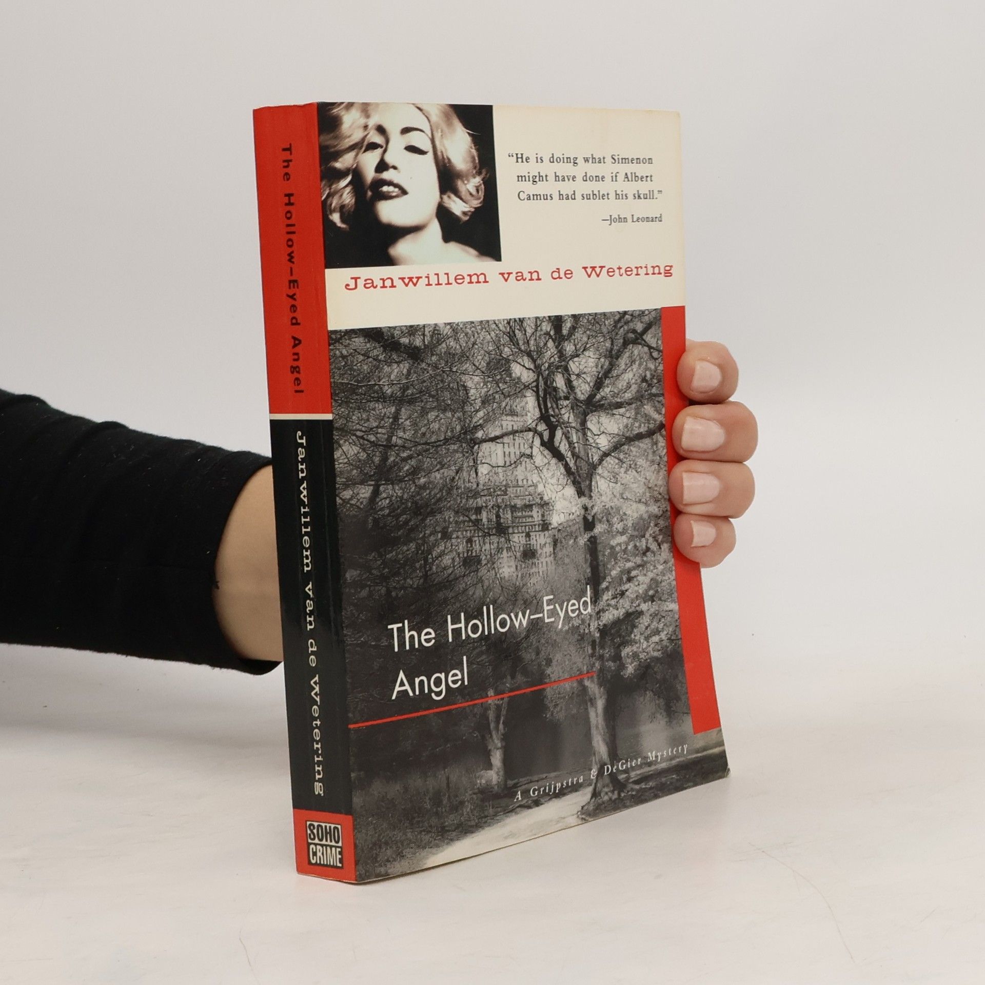 The Hollow-Eyed Angel