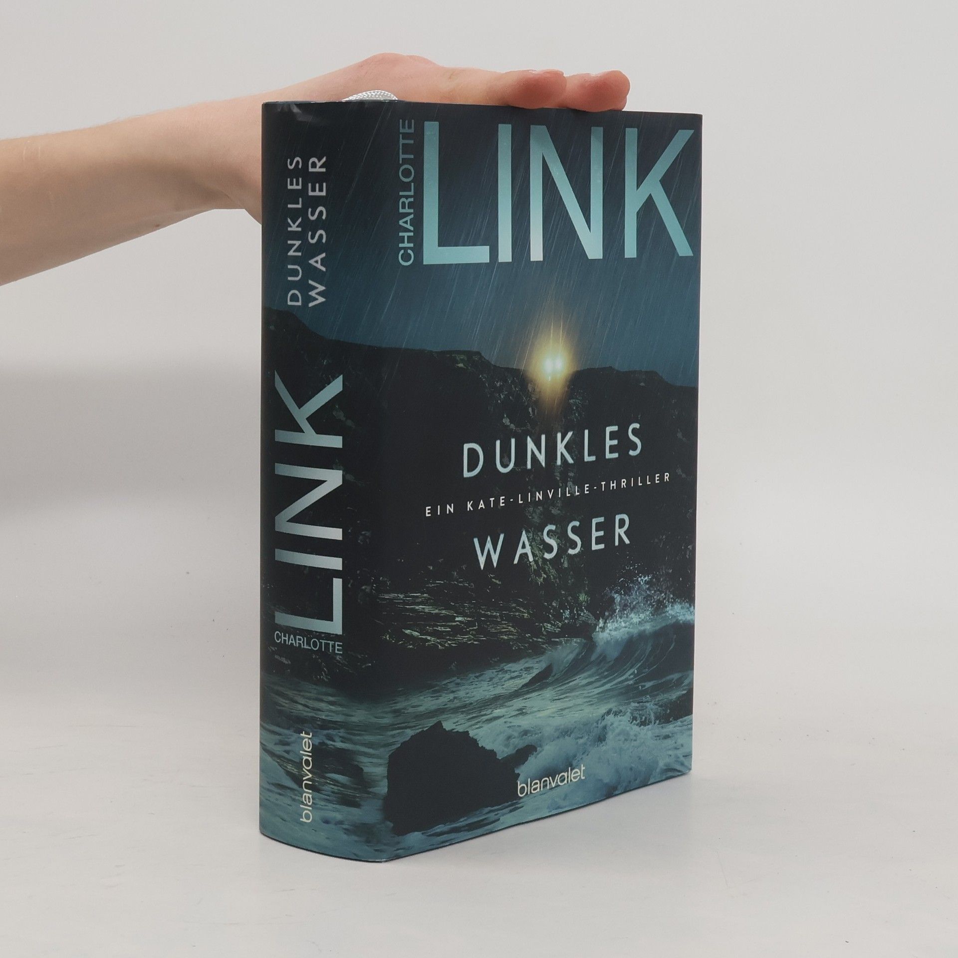 Charlotte Link Dunkles Wasser