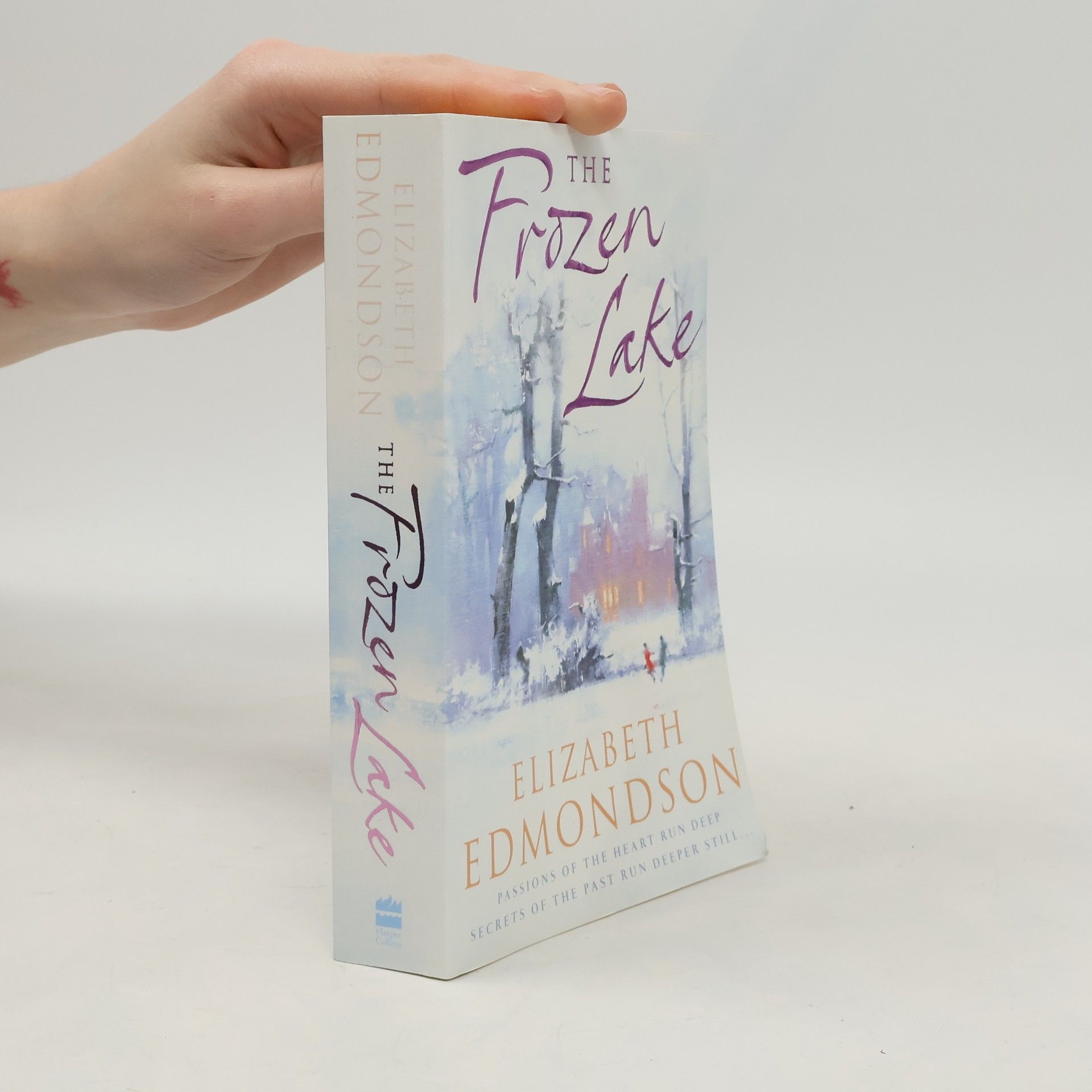 Elizabeth Aston The Frozen Lake