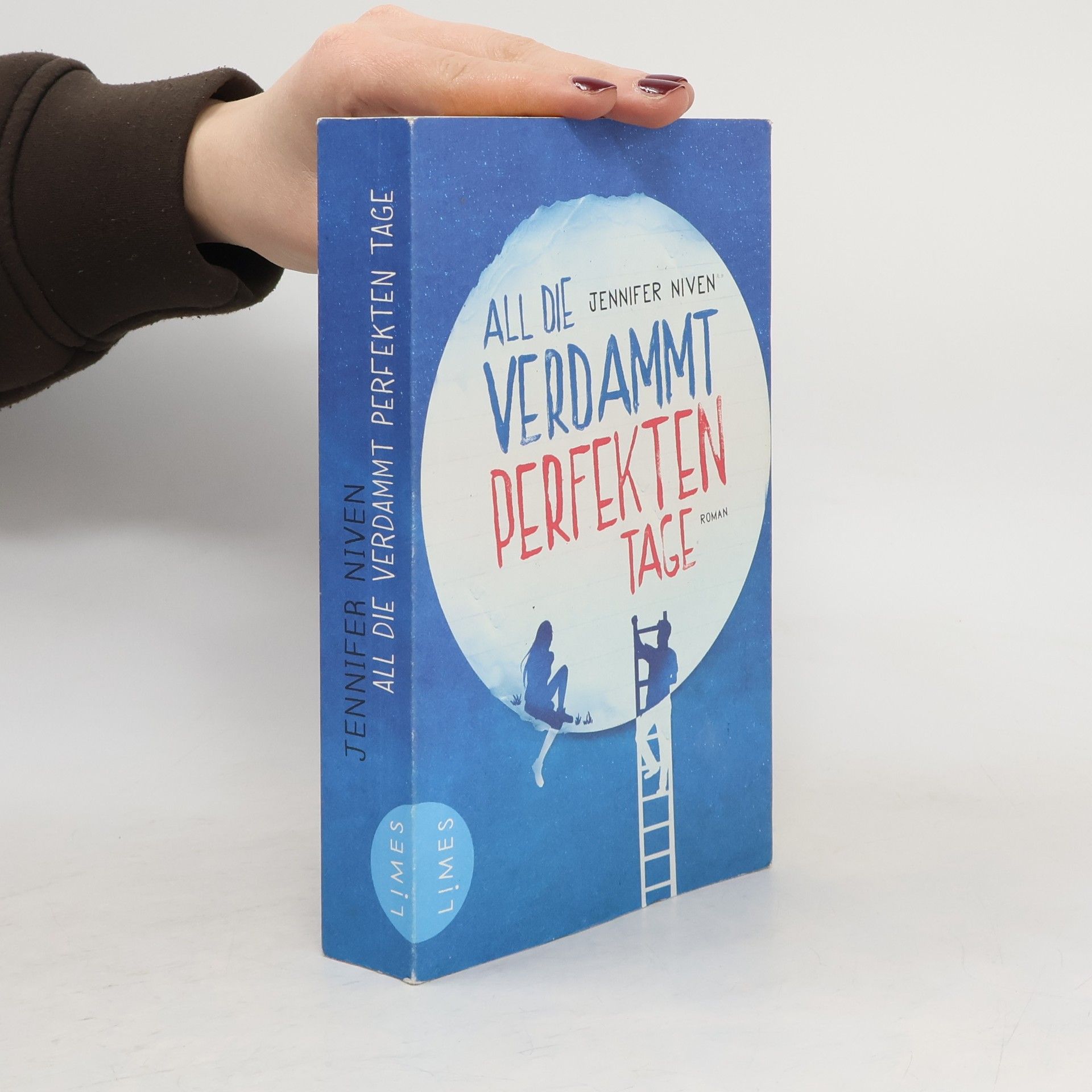 All die verdammt perfekten Tage