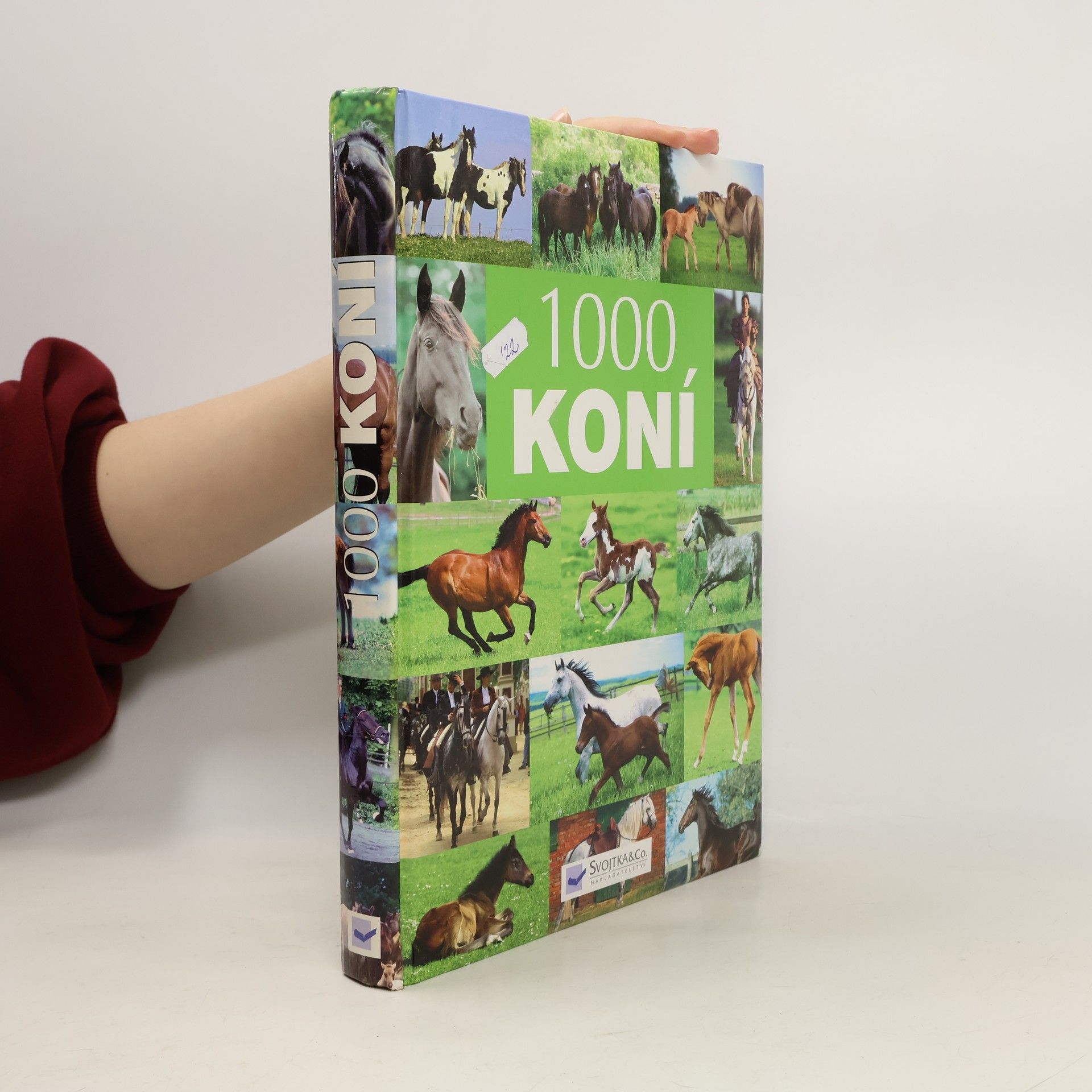 Auteurscollectief 1000 koní